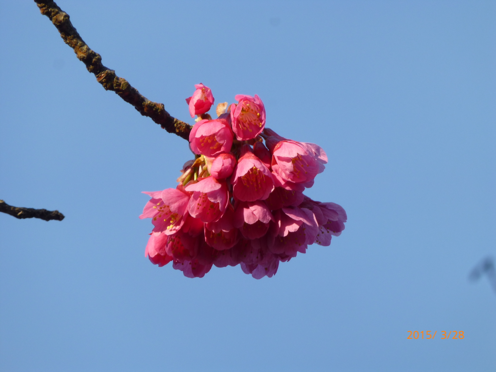 f:id:k10no3:20150328165929j:image:w560