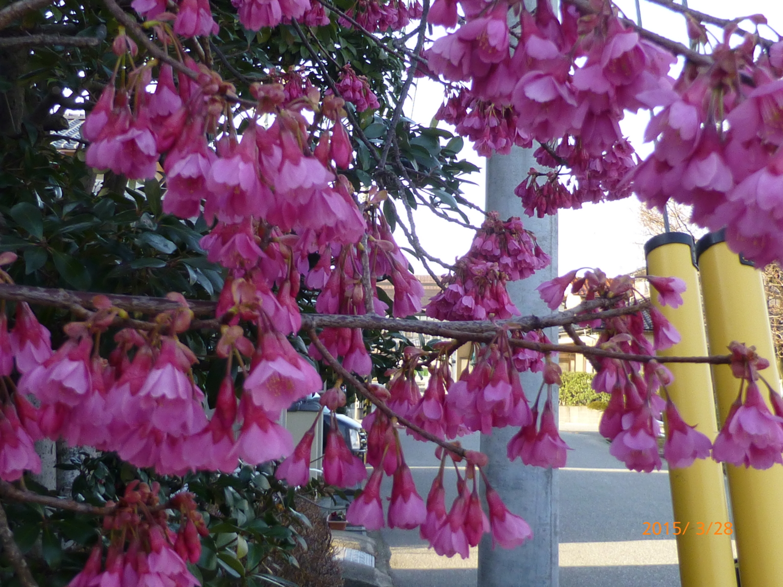f:id:k10no3:20150328170014j:image:w560