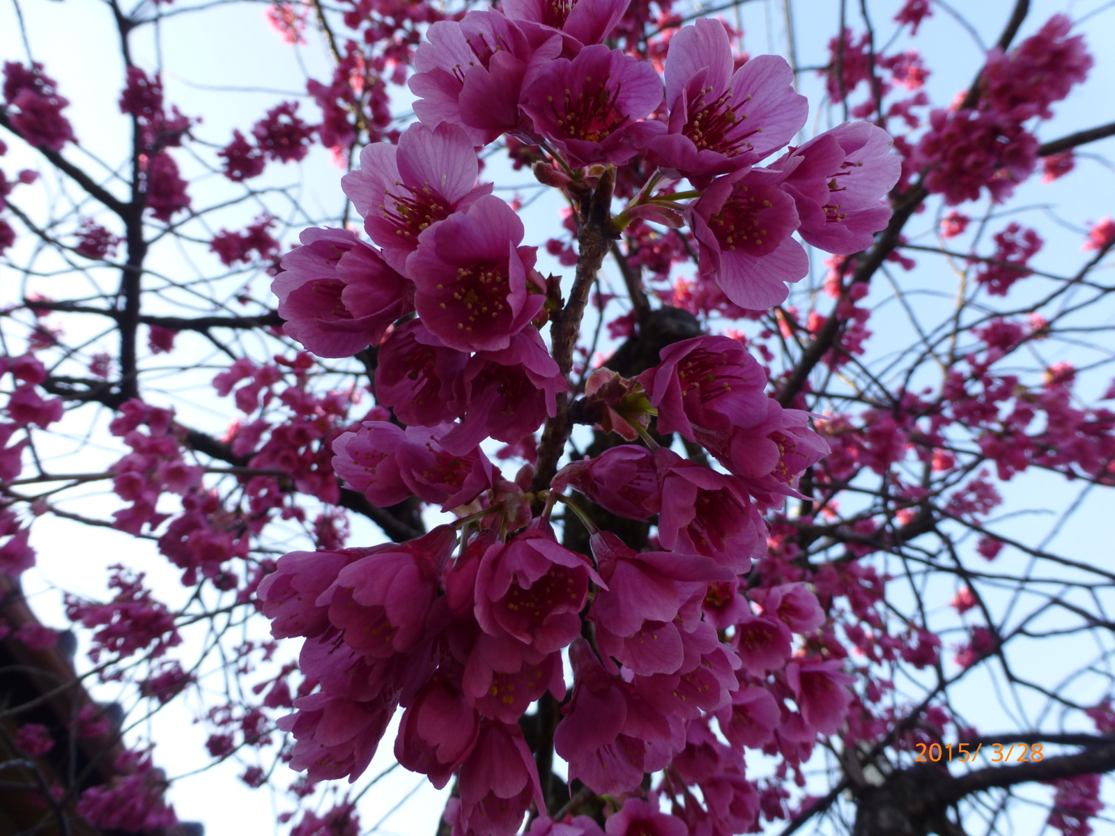 f:id:k10no3:20150328170027j:image:w560