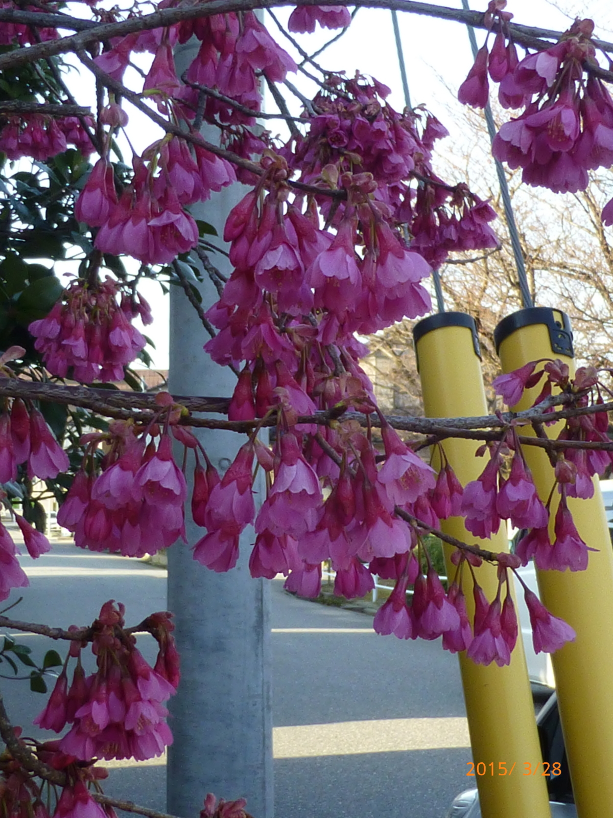 f:id:k10no3:20150328170044j:image:w279