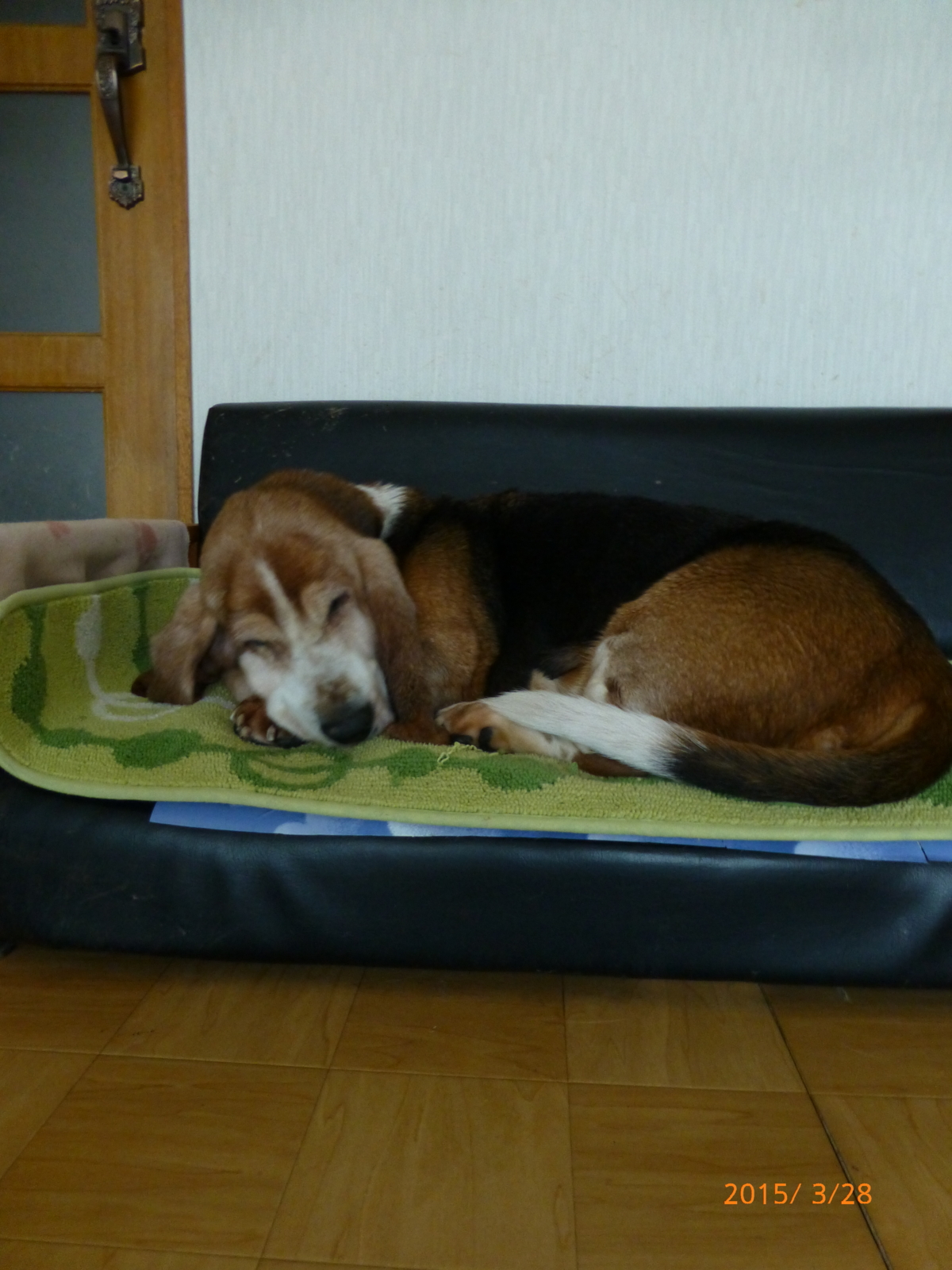 f:id:k10no3:20150328174025j:image:w318 f:id:k10no3:20150328174025j:image:w318