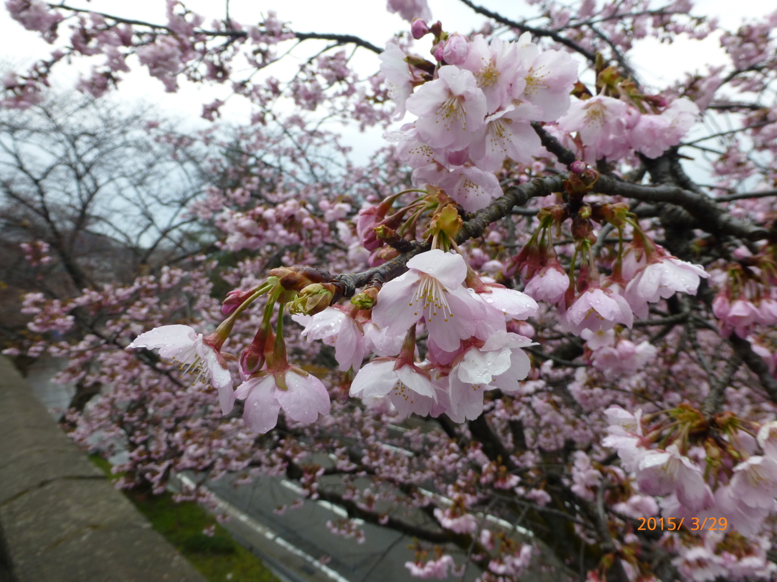 f:id:k10no3:20150329105249j:image:w279 f:id:k10no3:20150329105249j:image:w279
