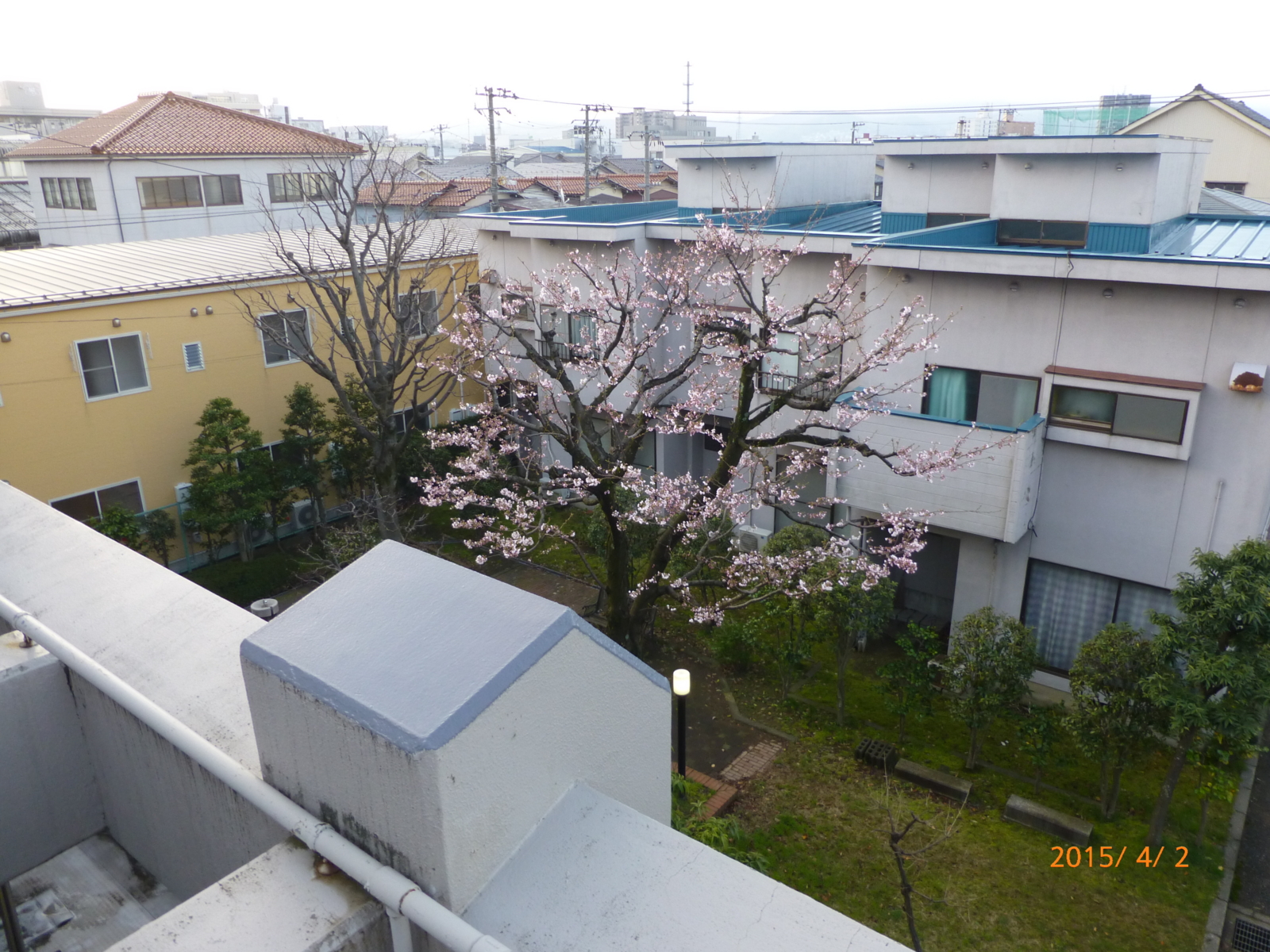 f:id:k10no3:20150402060727j:image:w279