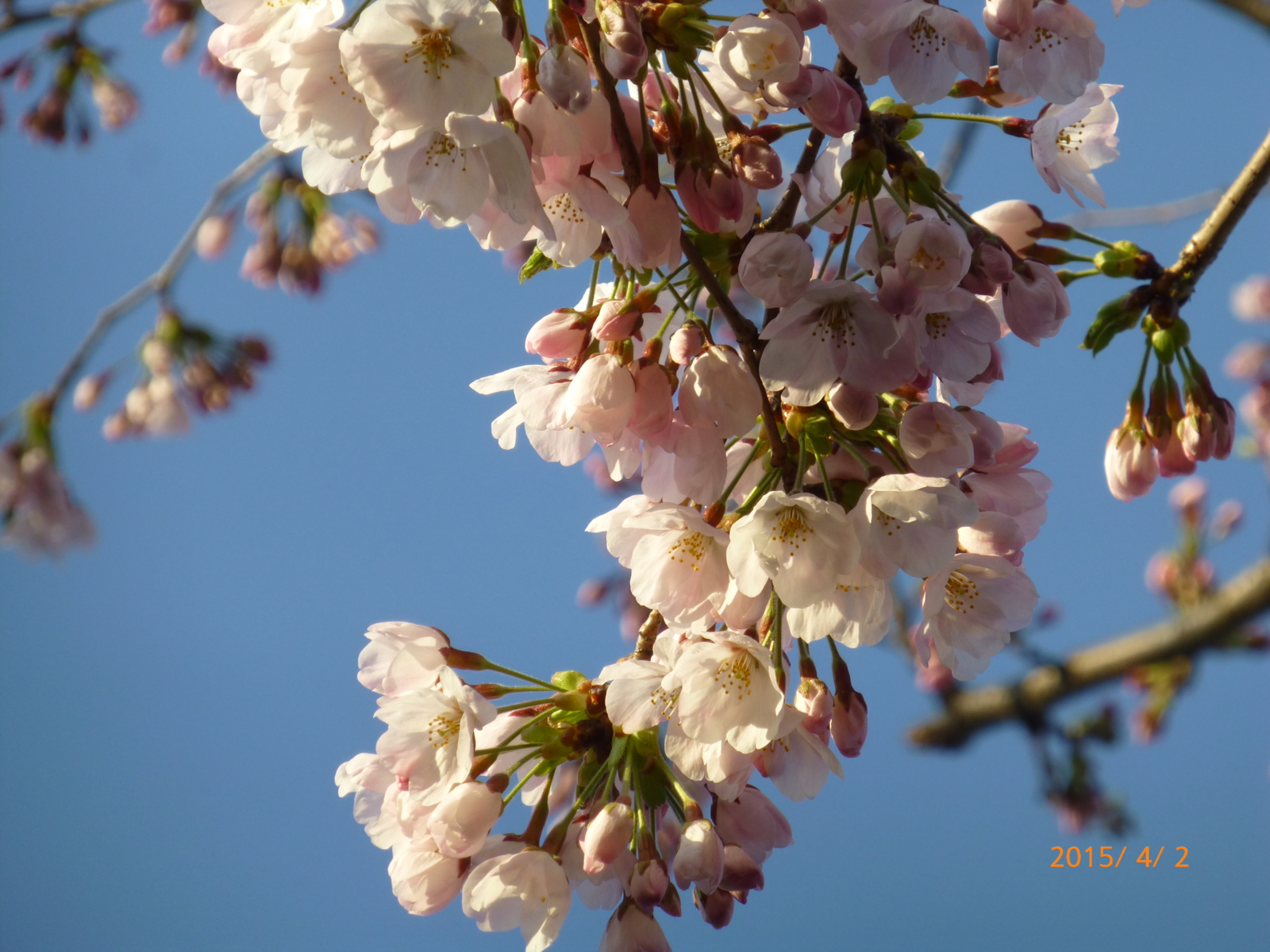 f:id:k10no3:20150402064756j:image:w279
