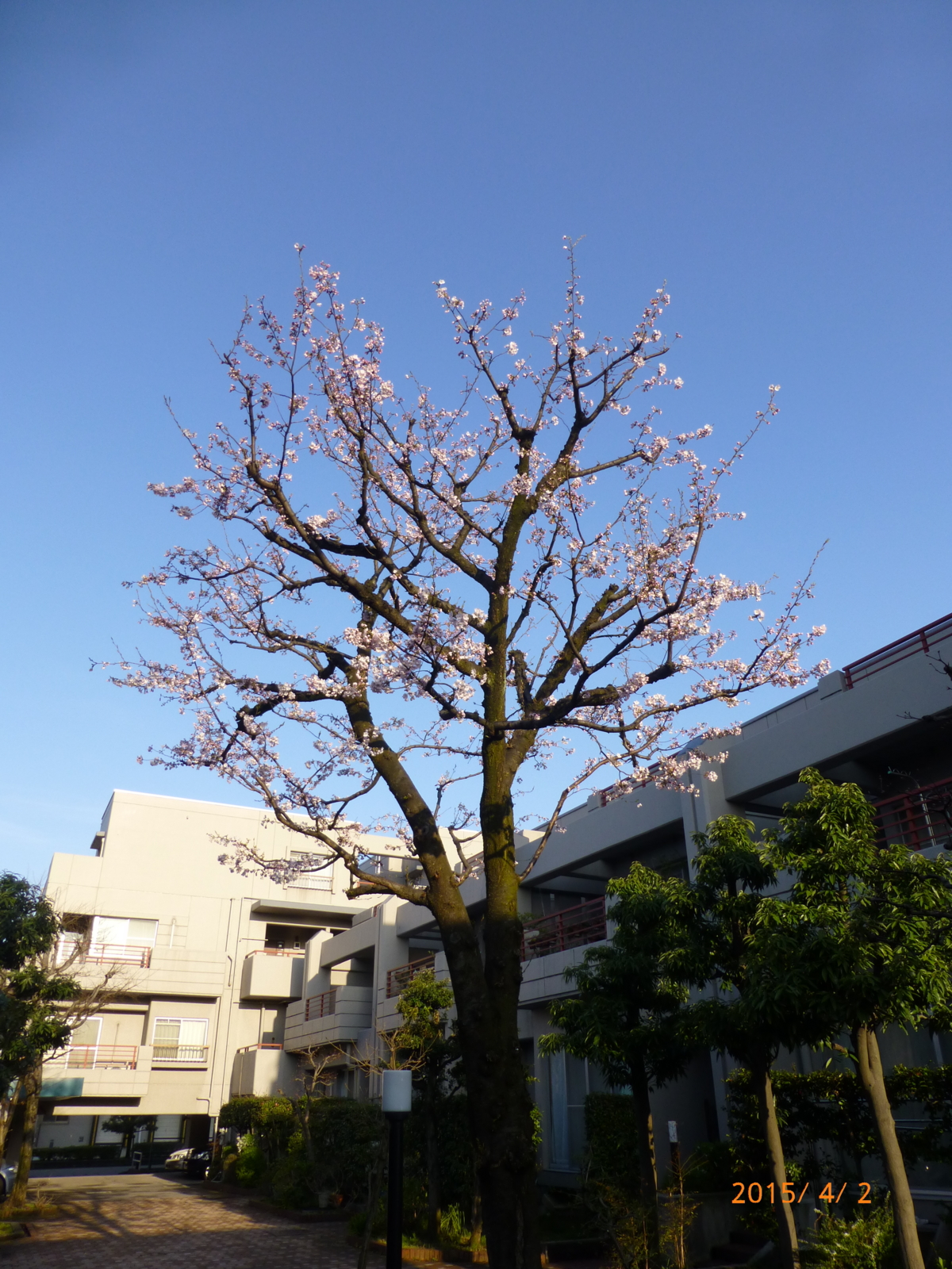 f:id:k10no3:20150402064853j:image:w279
