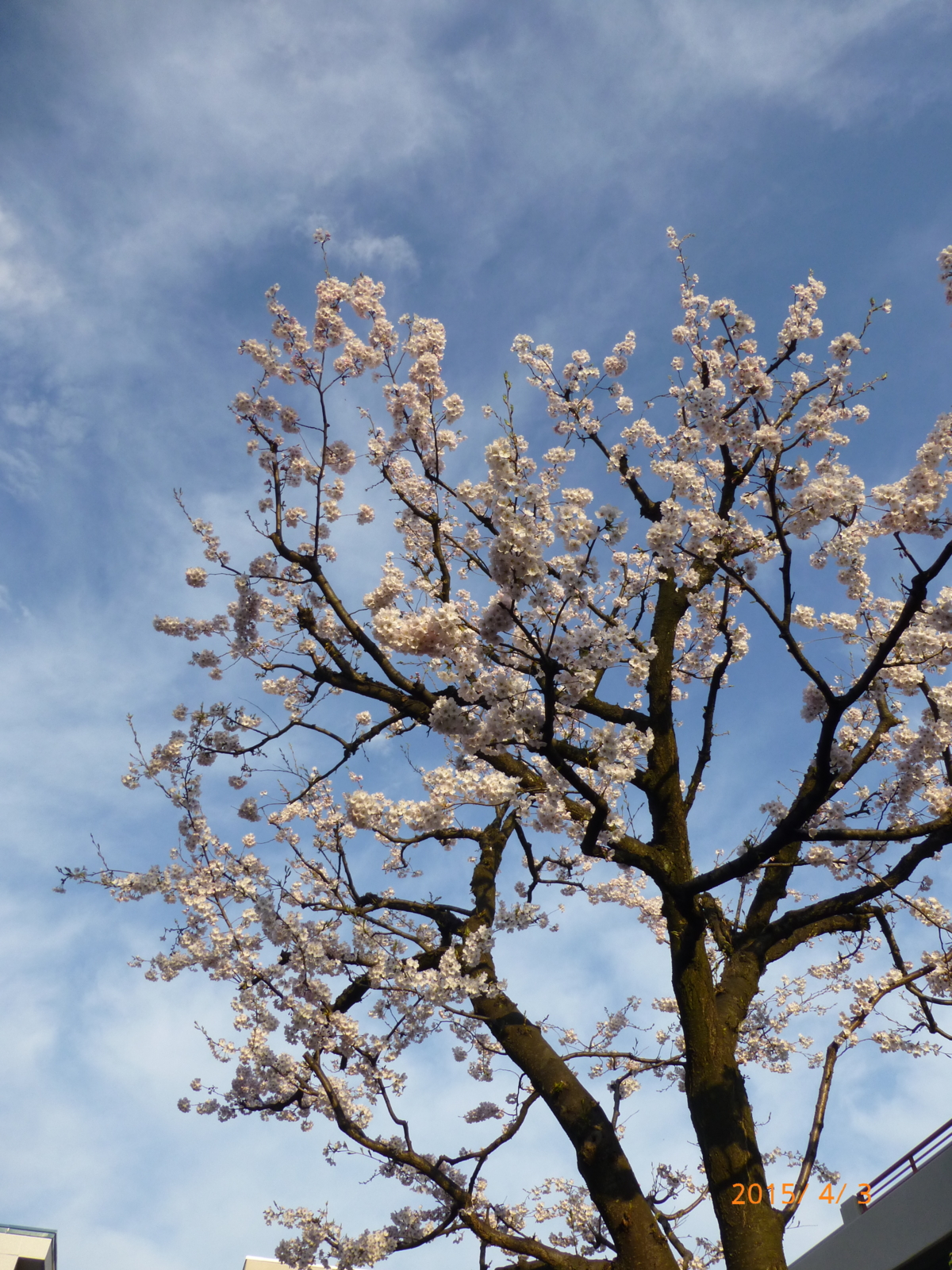 f:id:k10no3:20150403065326j:image:w279