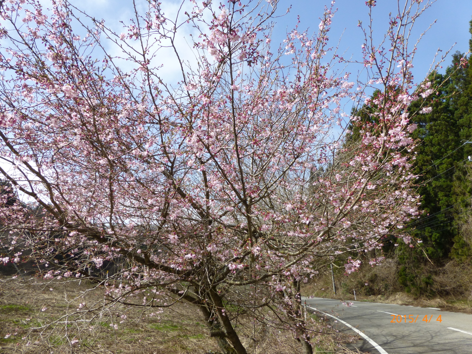 f:id:k10no3:20150404093944j:image:w279 f:id:k10no3:20150404093944j:image:w279