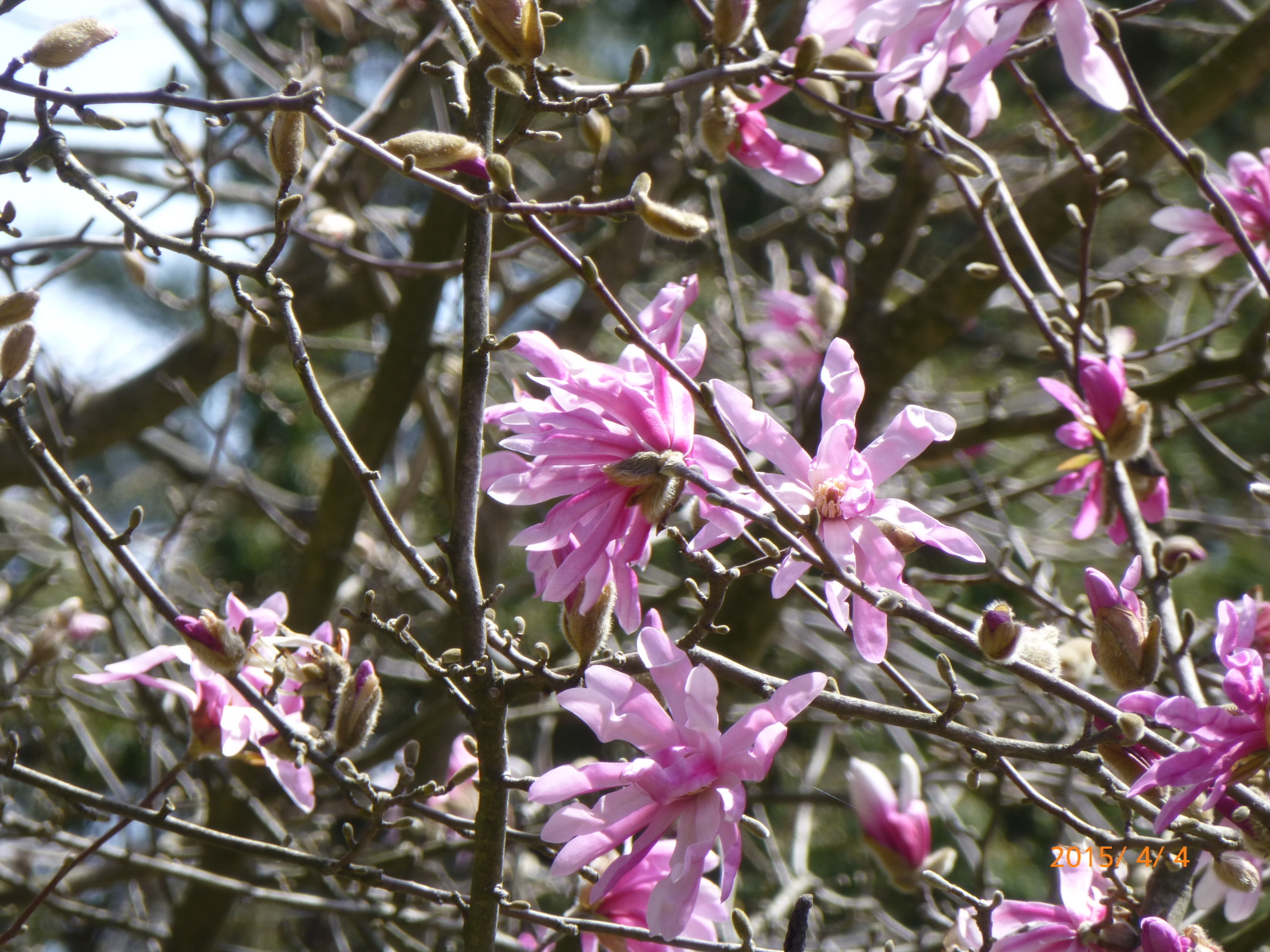 f:id:k10no3:20150404121559j:image:w560 f:id:k10no3:20150404121559j:image:w560