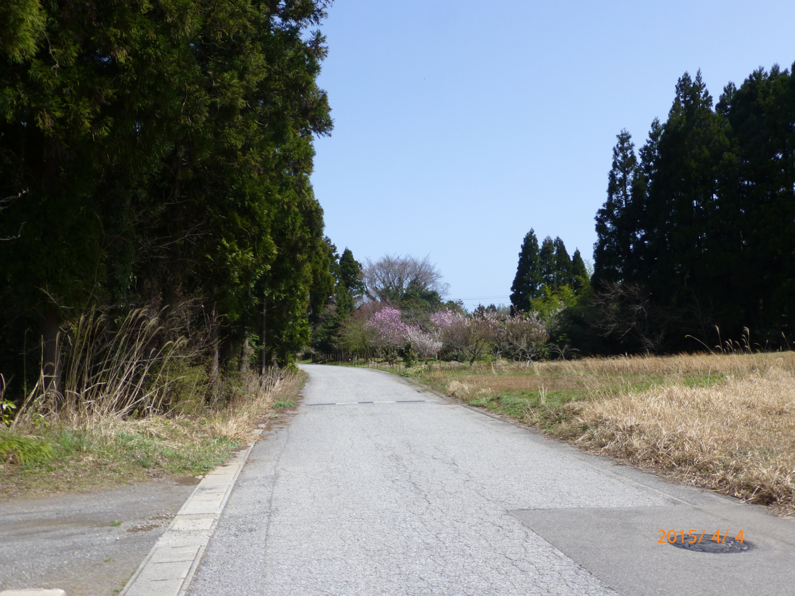 f:id:k10no3:20150404121755j:image:w560