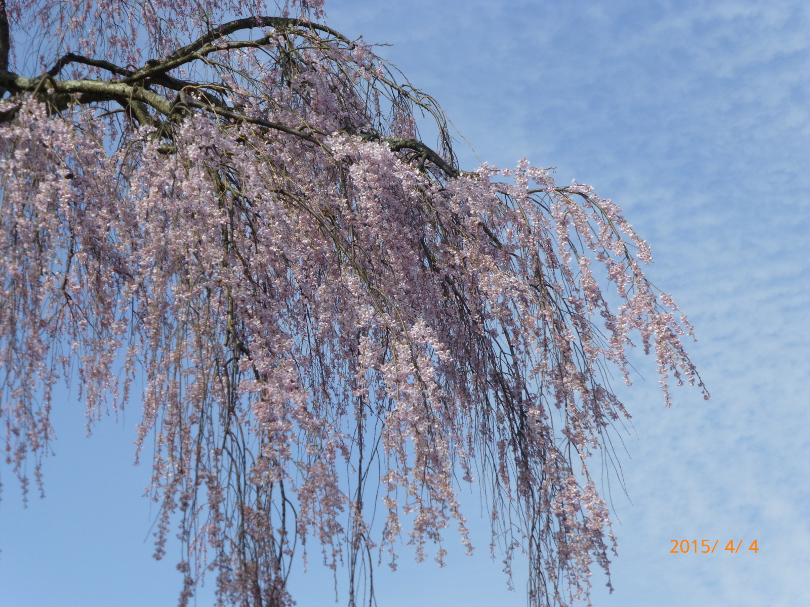 f:id:k10no3:20150404145845j:image:w560