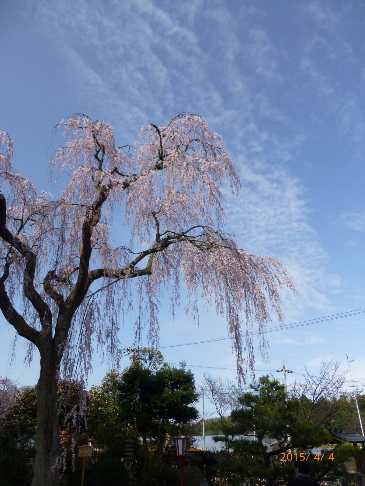 f:id:k10no3:20150404145854j:image:w279