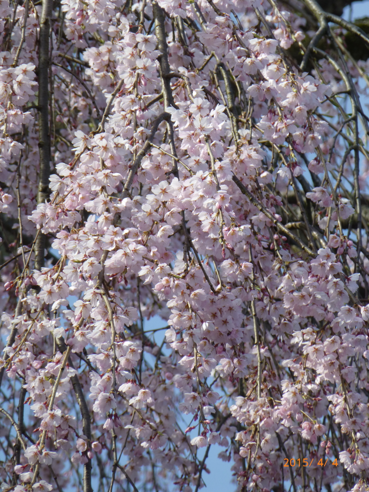 f:id:k10no3:20150404150512j:image:w279