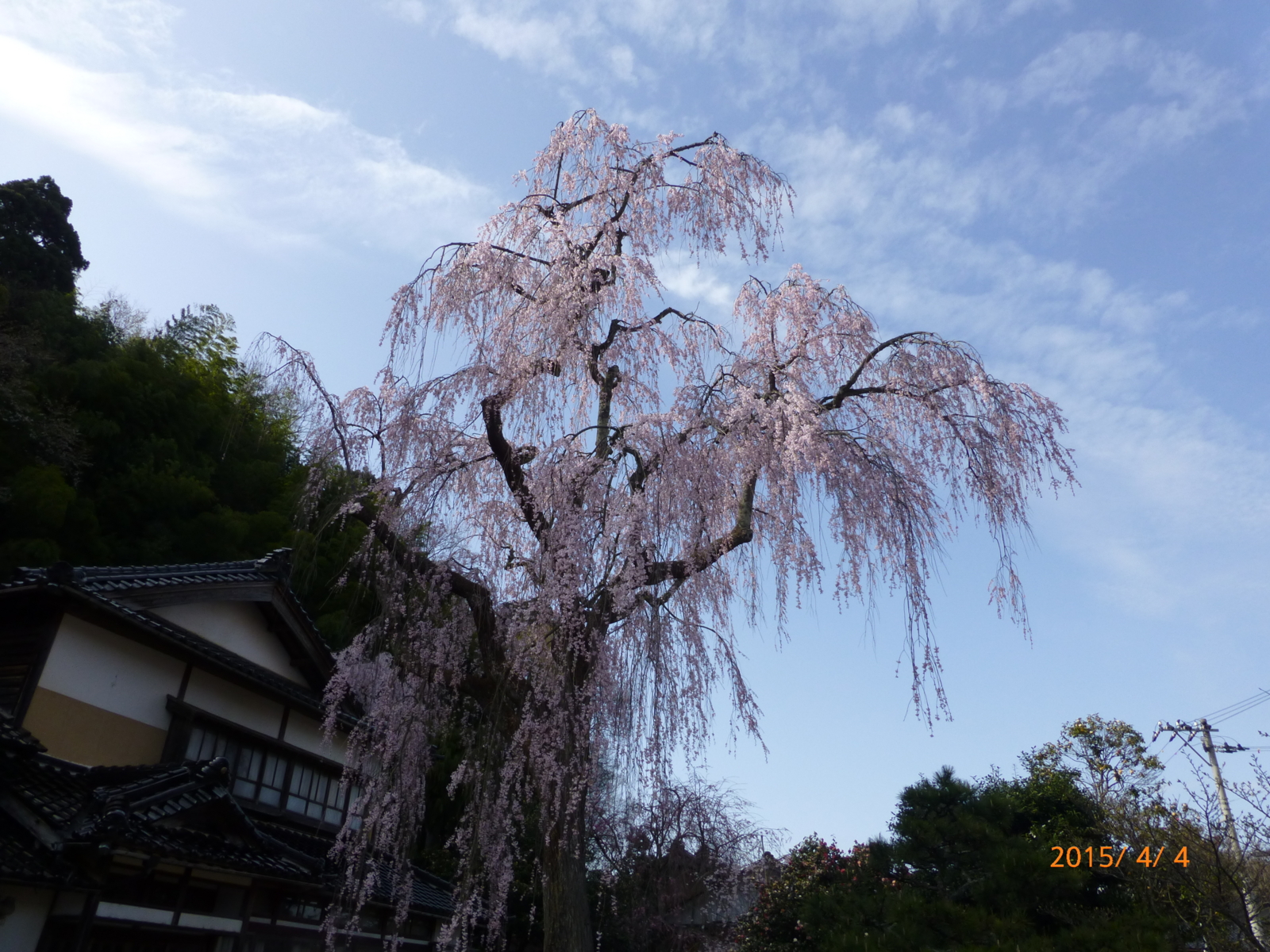 f:id:k10no3:20150404150527j:image:w279