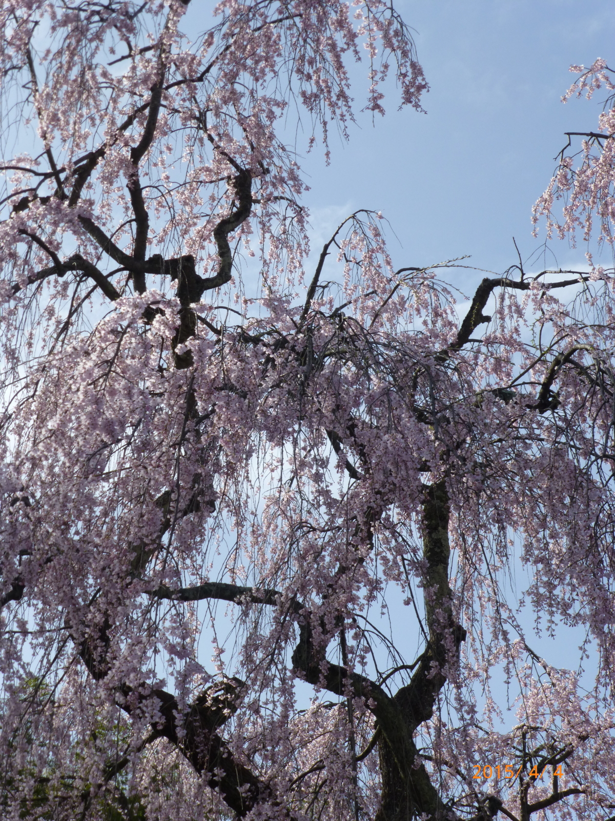 f:id:k10no3:20150404150549j:image:w279