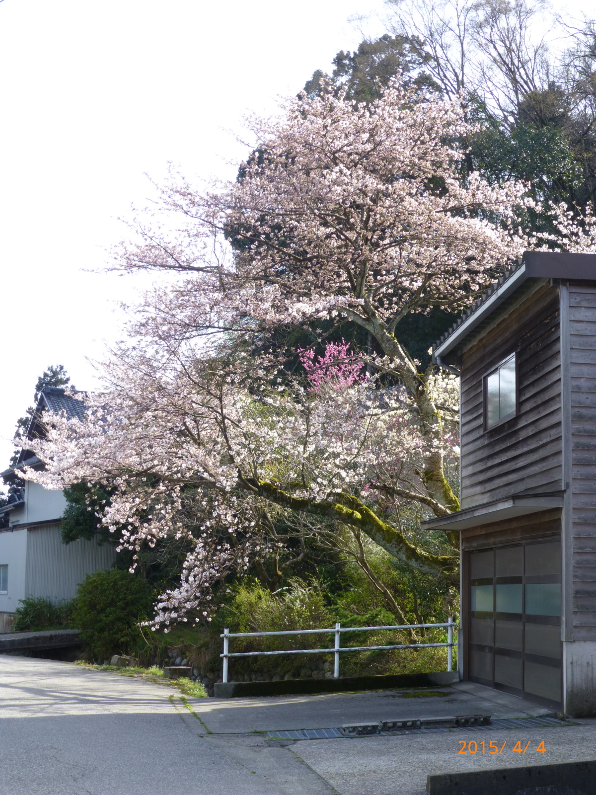 f:id:k10no3:20150404151630j:image:w420