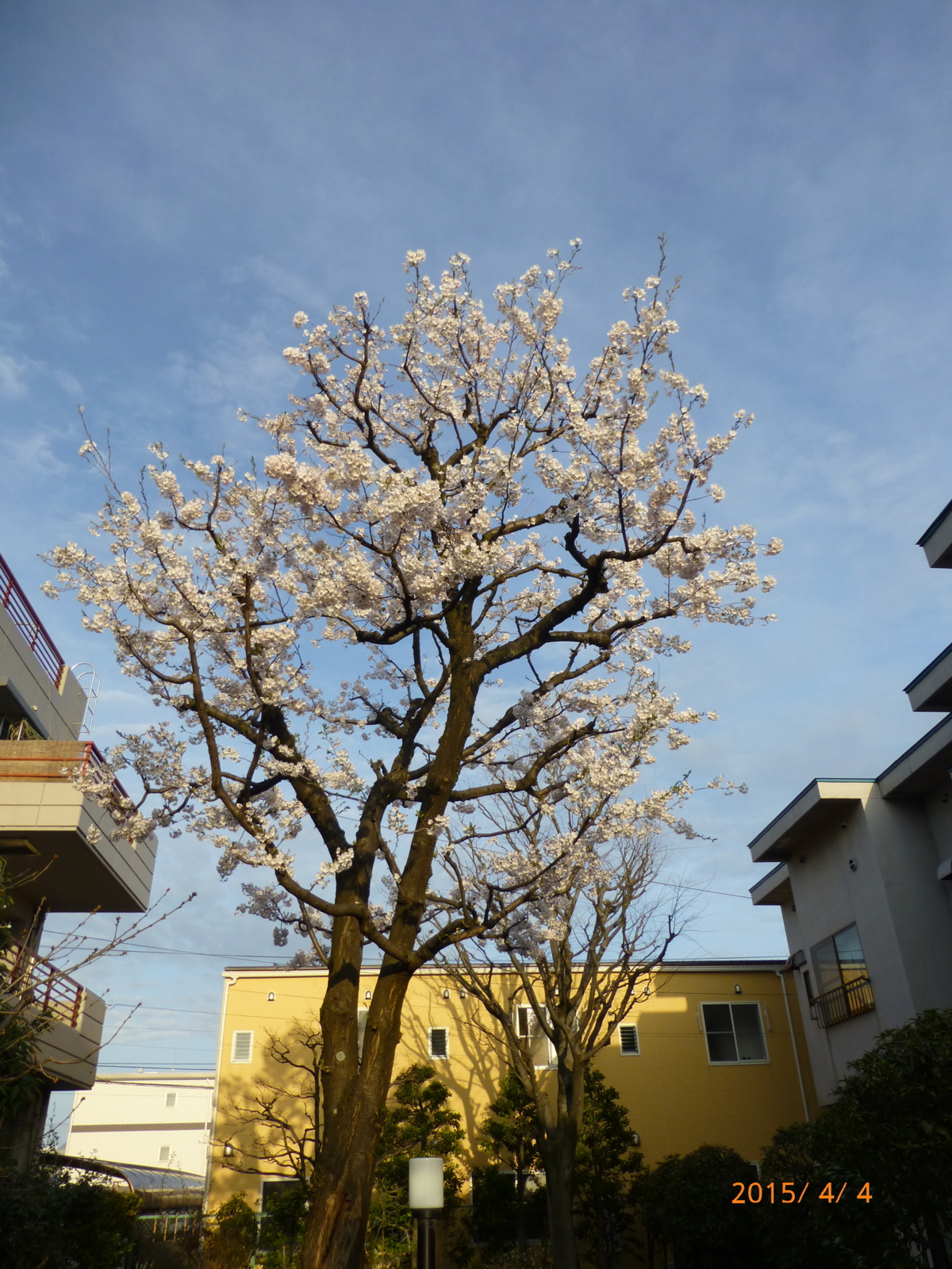 f:id:k10no3:20150404171534j:image:w279