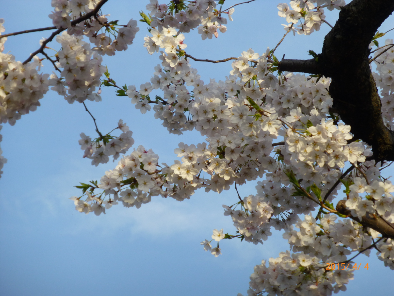 f:id:k10no3:20150404171653j:image:w560