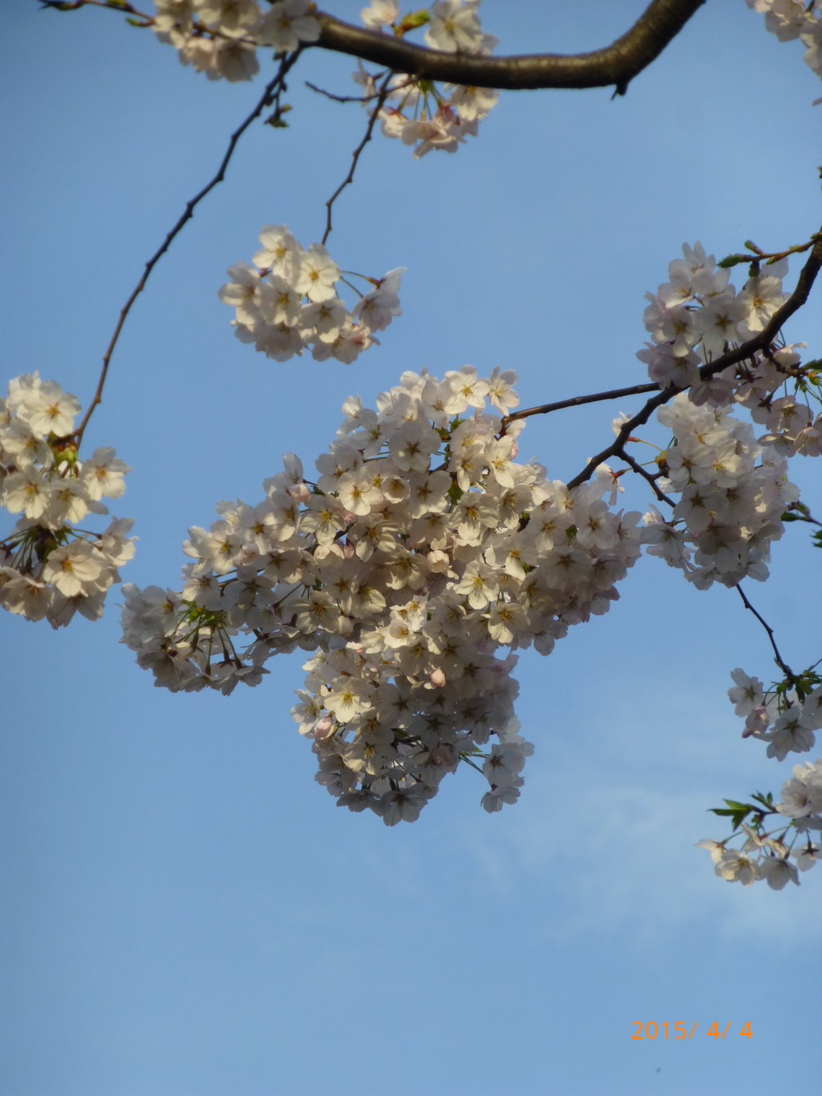 f:id:k10no3:20150404171659j:image:w279 f:id:k10no3:20150404171659j:image:w279
