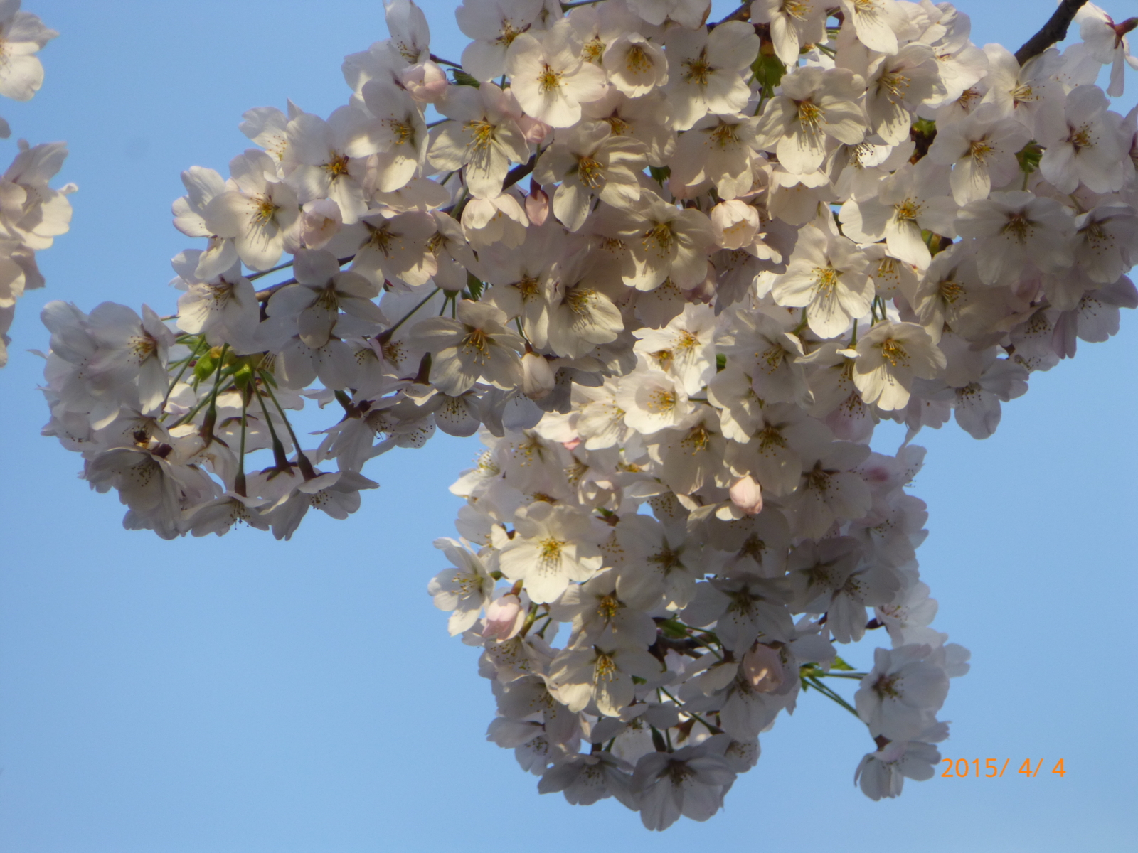 f:id:k10no3:20150404171708j:image:w560