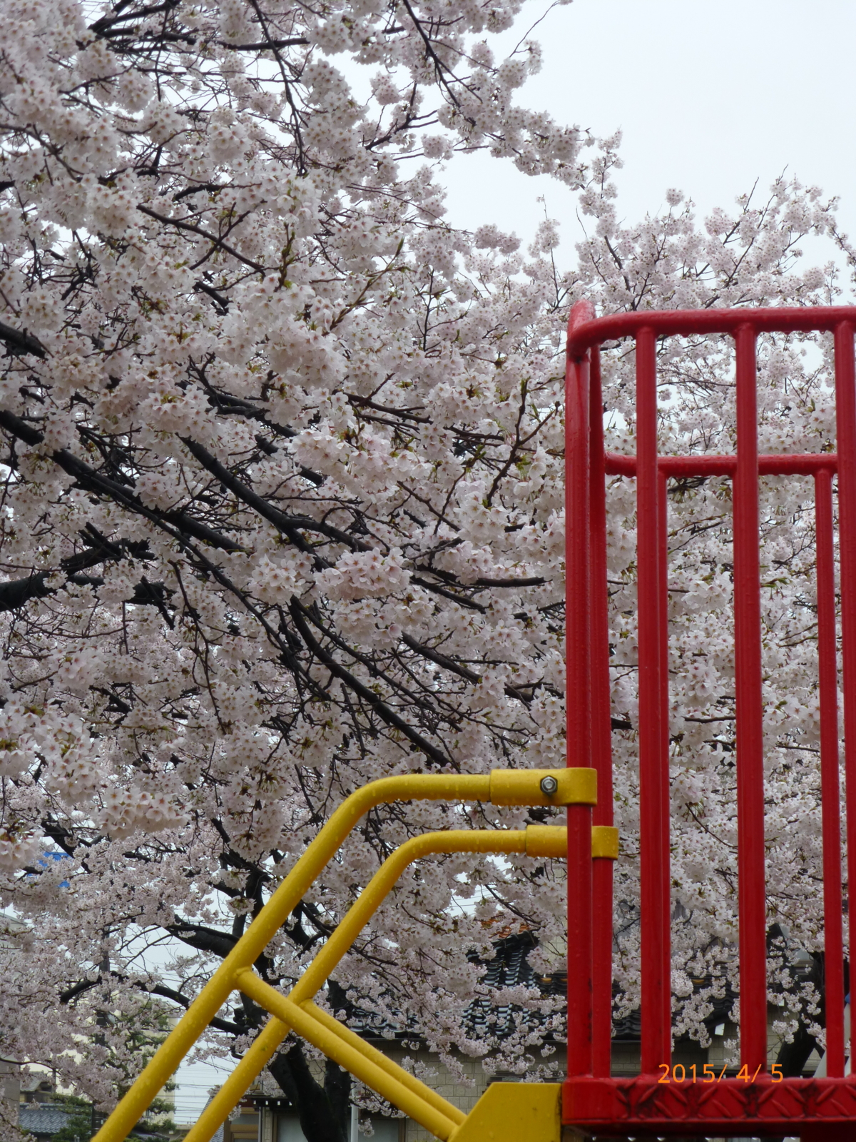 f:id:k10no3:20150405091517j:image:w420