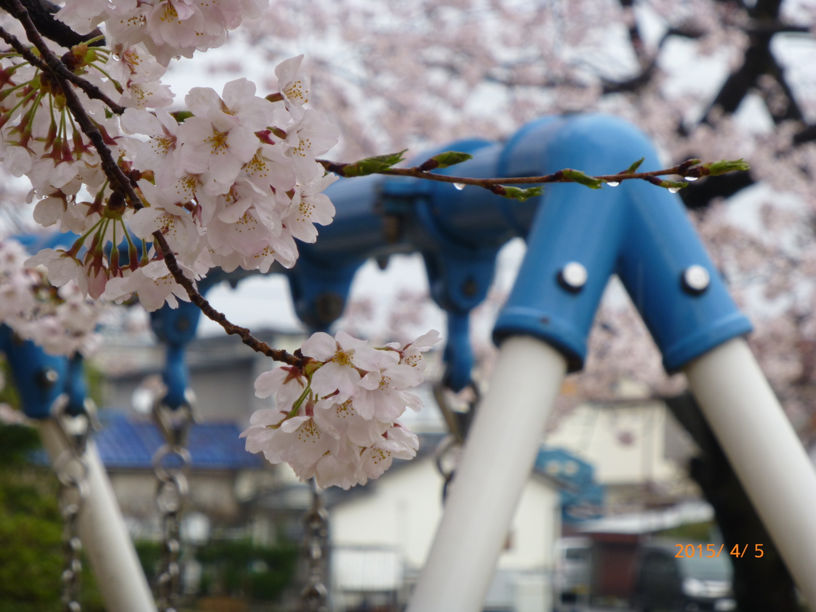 f:id:k10no3:20150405091630j:image:w560