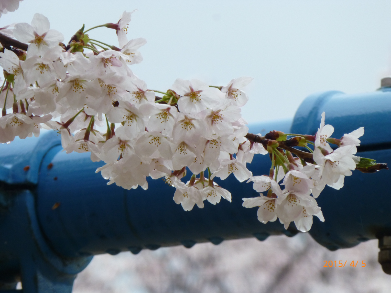 f:id:k10no3:20150405091840j:image:w560