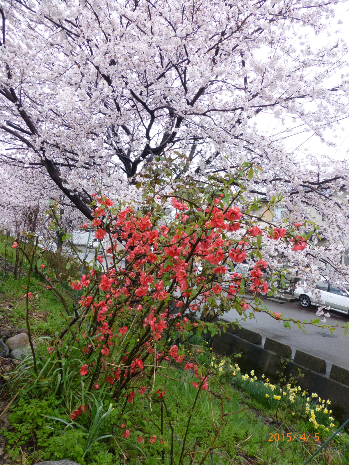 f:id:k10no3:20150405092742j:image:w279