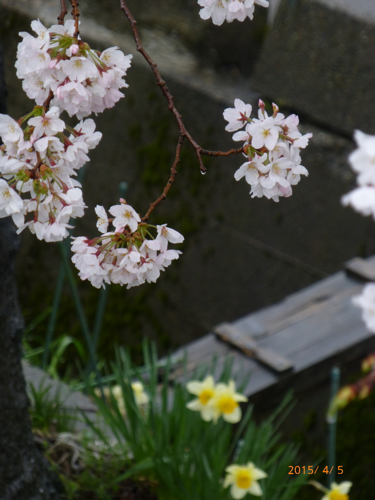f:id:k10no3:20150405092833j:image:w279