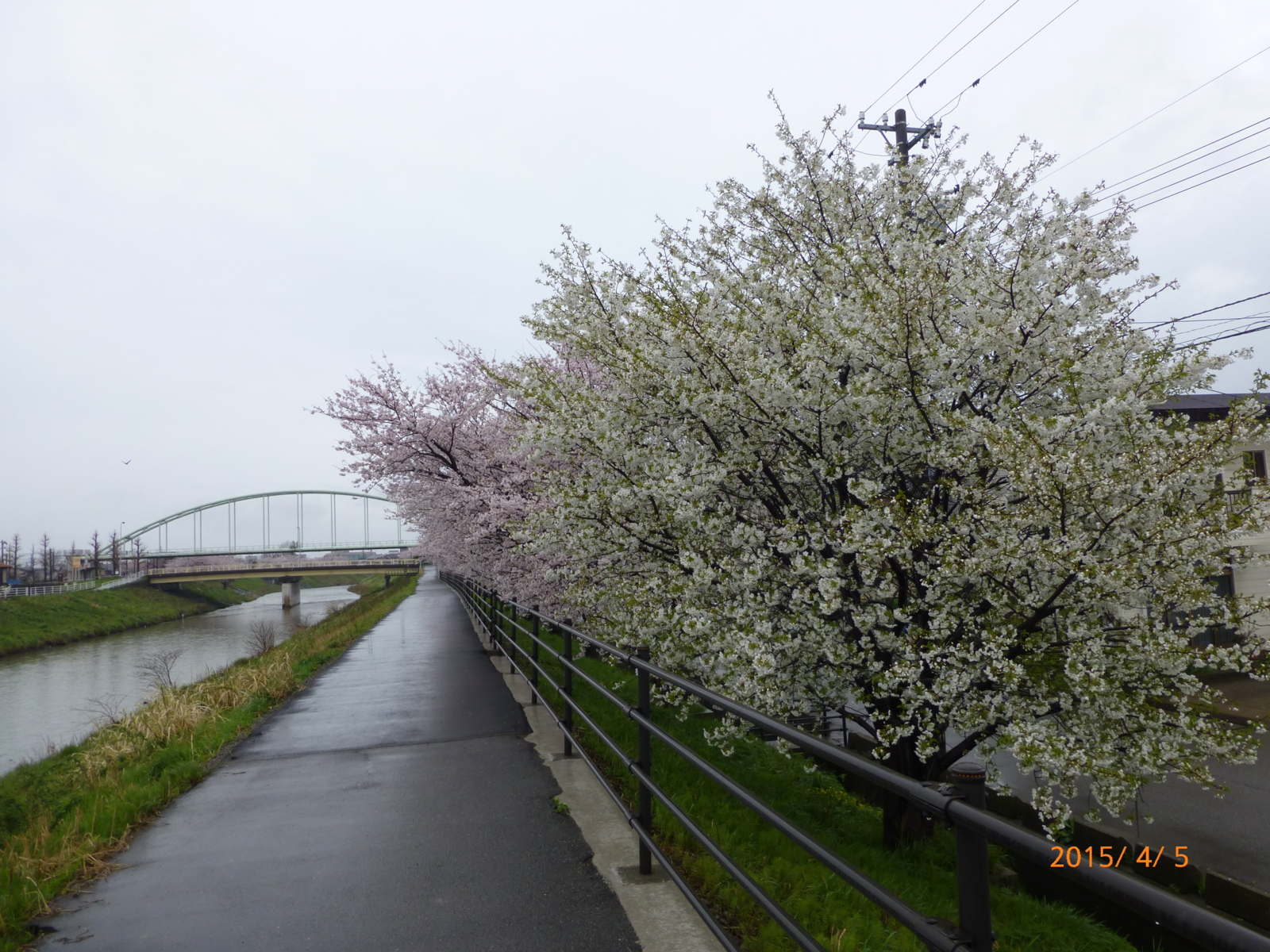 f:id:k10no3:20150405093035j:image:w279
