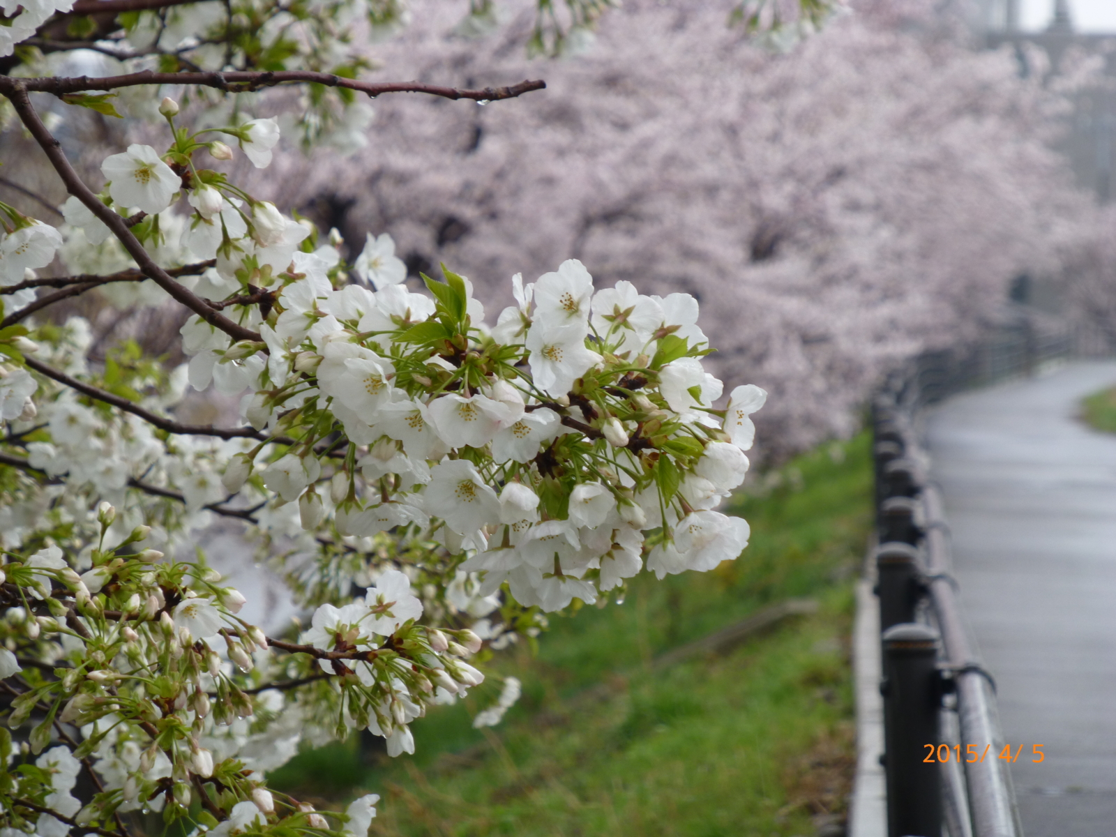 f:id:k10no3:20150405093521j:image:w279