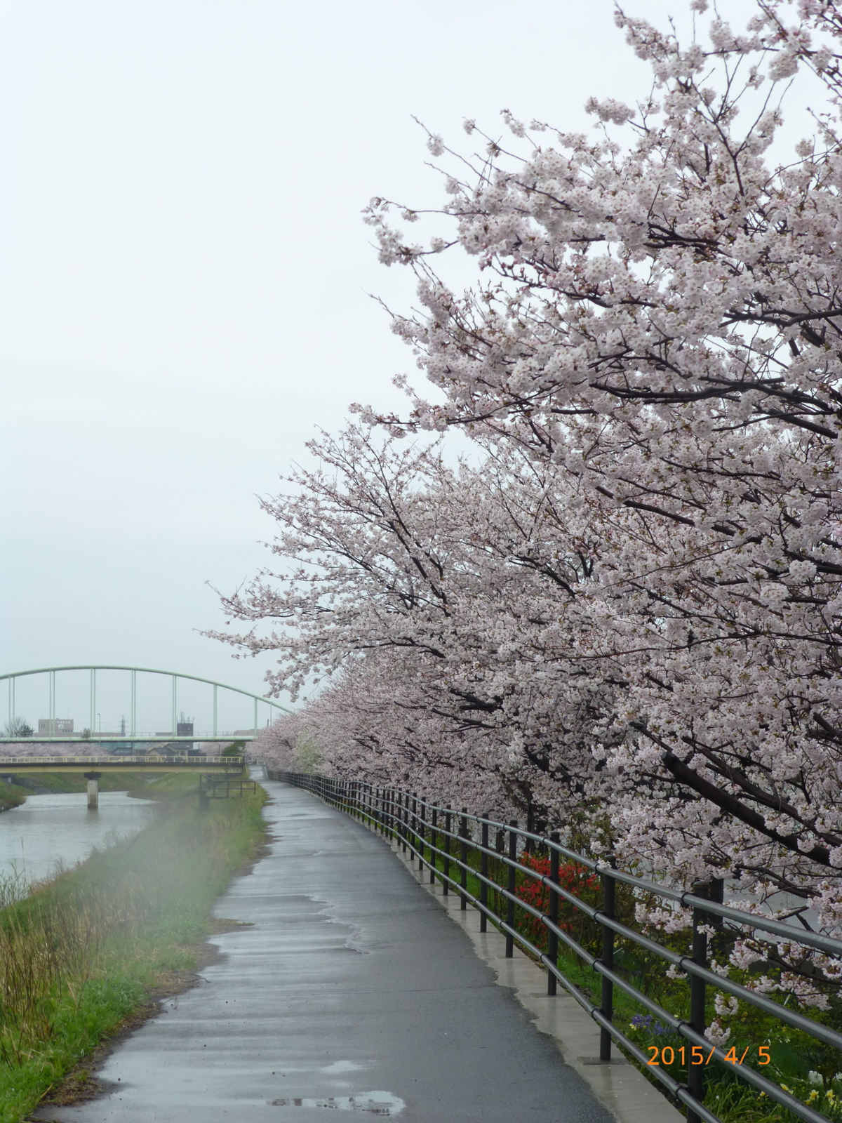 f:id:k10no3:20150405094142j:image:w279