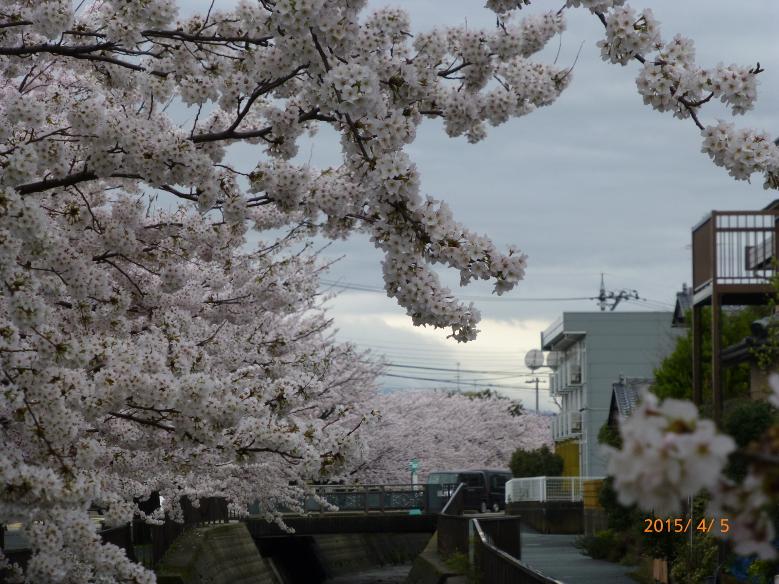 f:id:k10no3:20150405131137j:image:w279