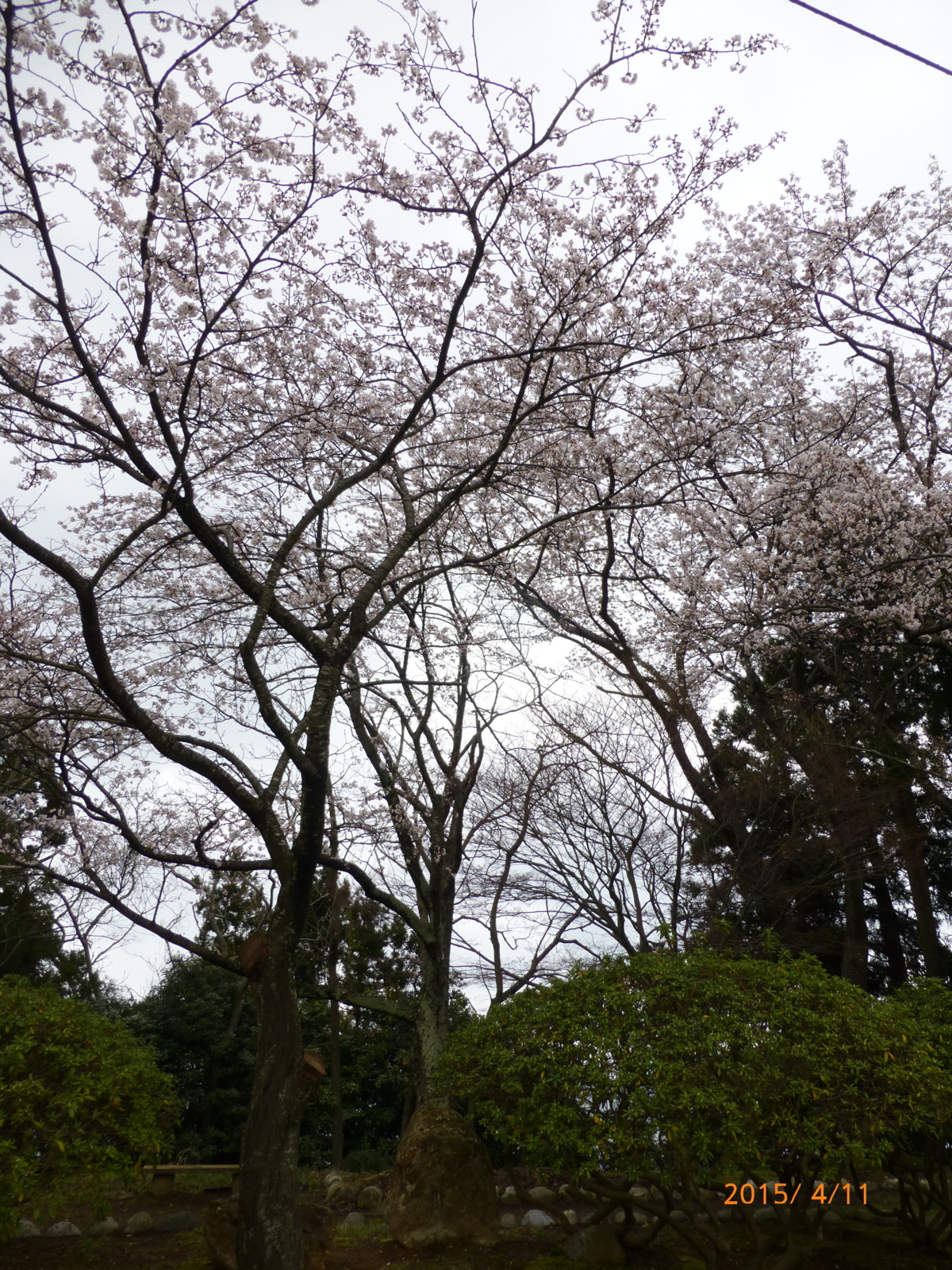 f:id:k10no3:20150411122703j:image:w279