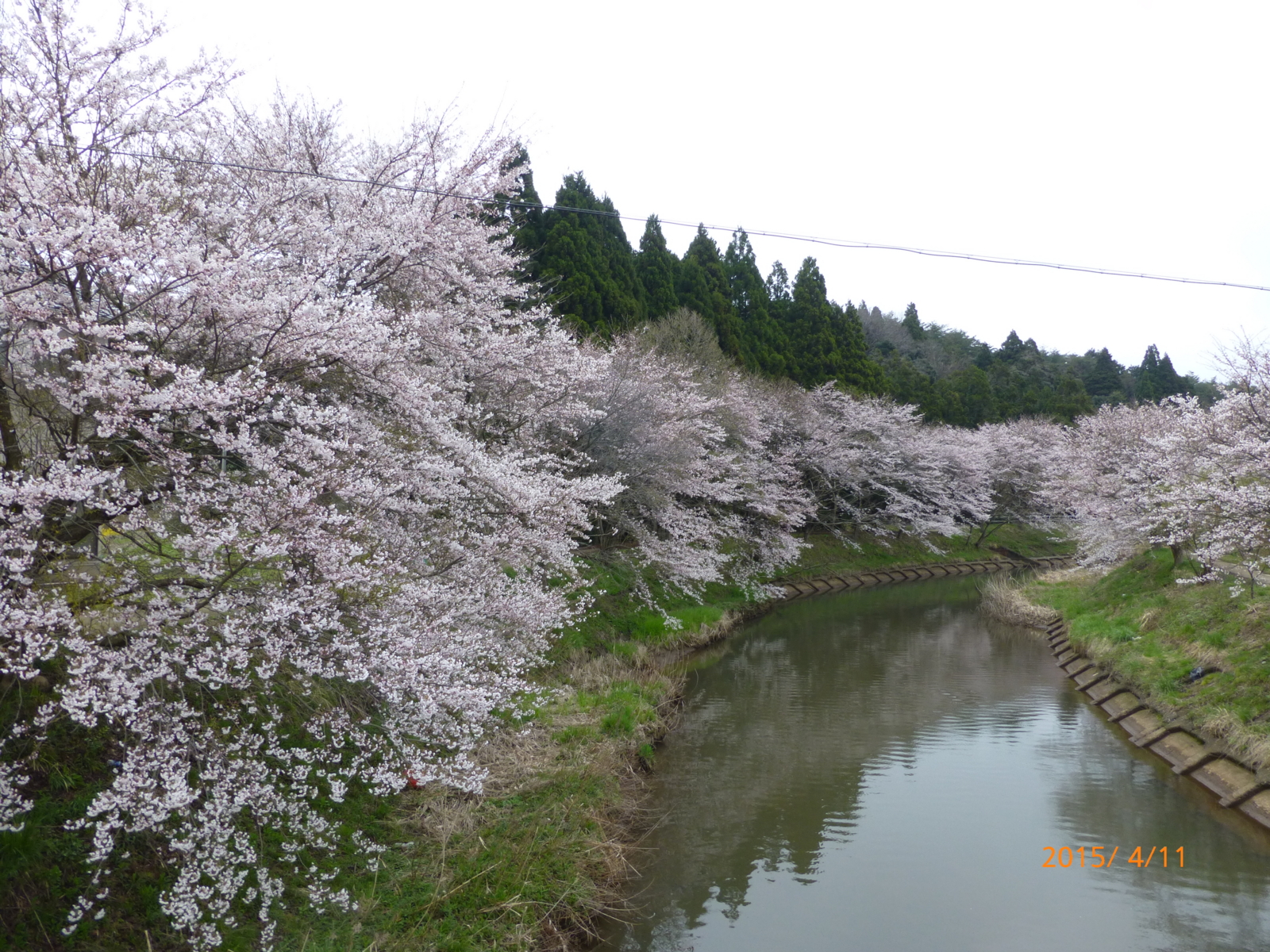 f:id:k10no3:20150411131649j:image:w560