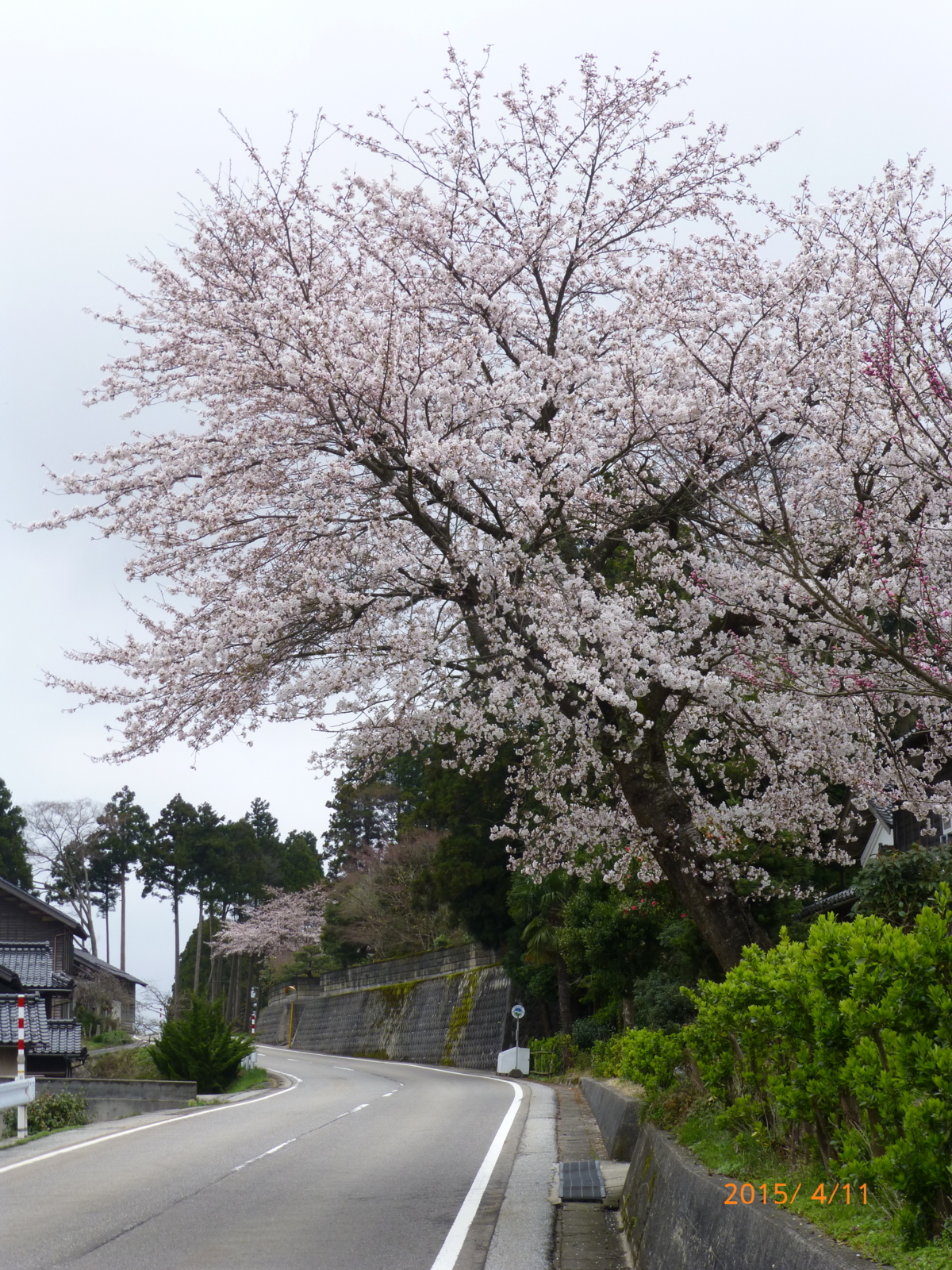 f:id:k10no3:20150411133108j:image:w279