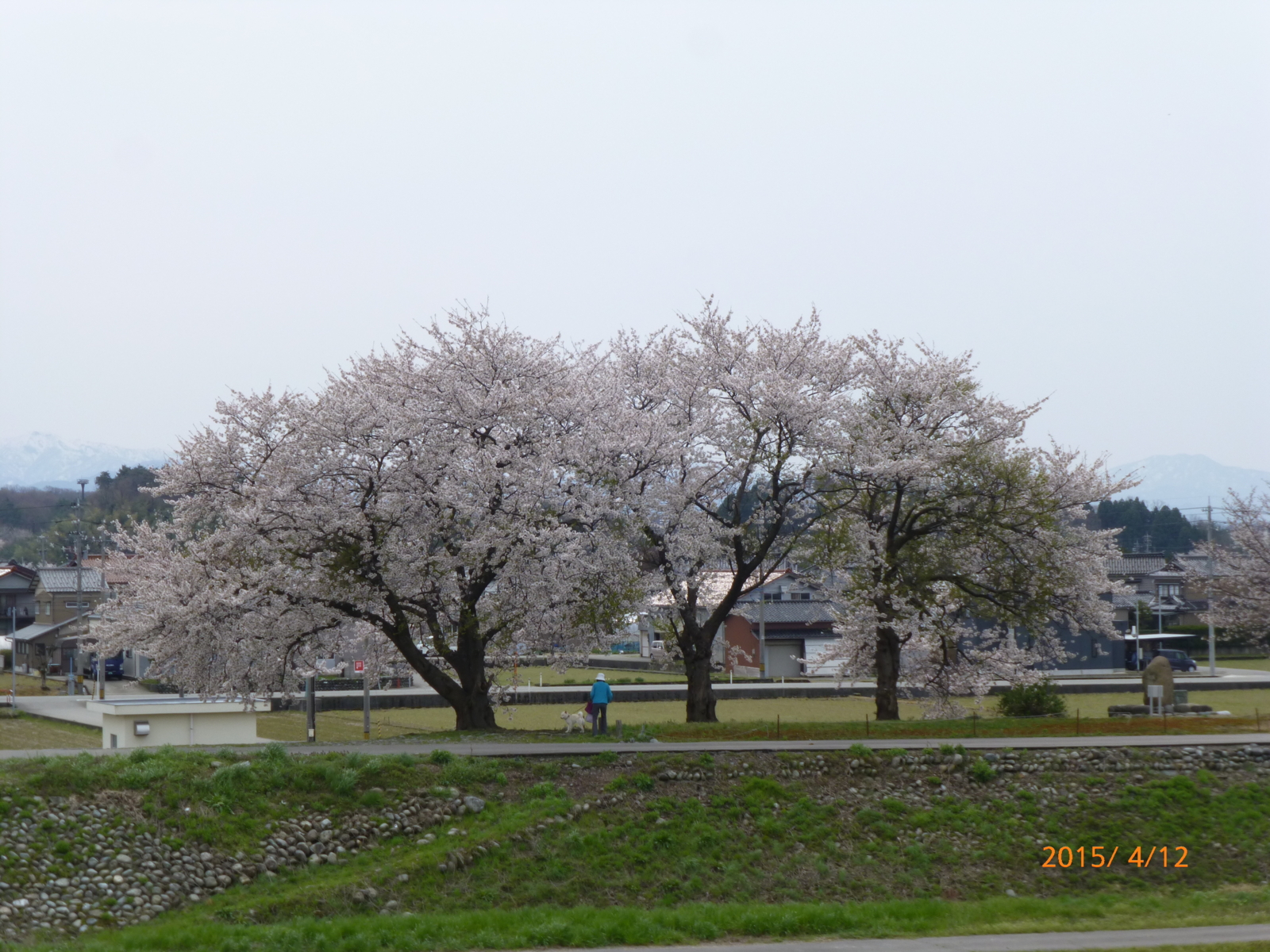f:id:k10no3:20150412121322j:image:w560