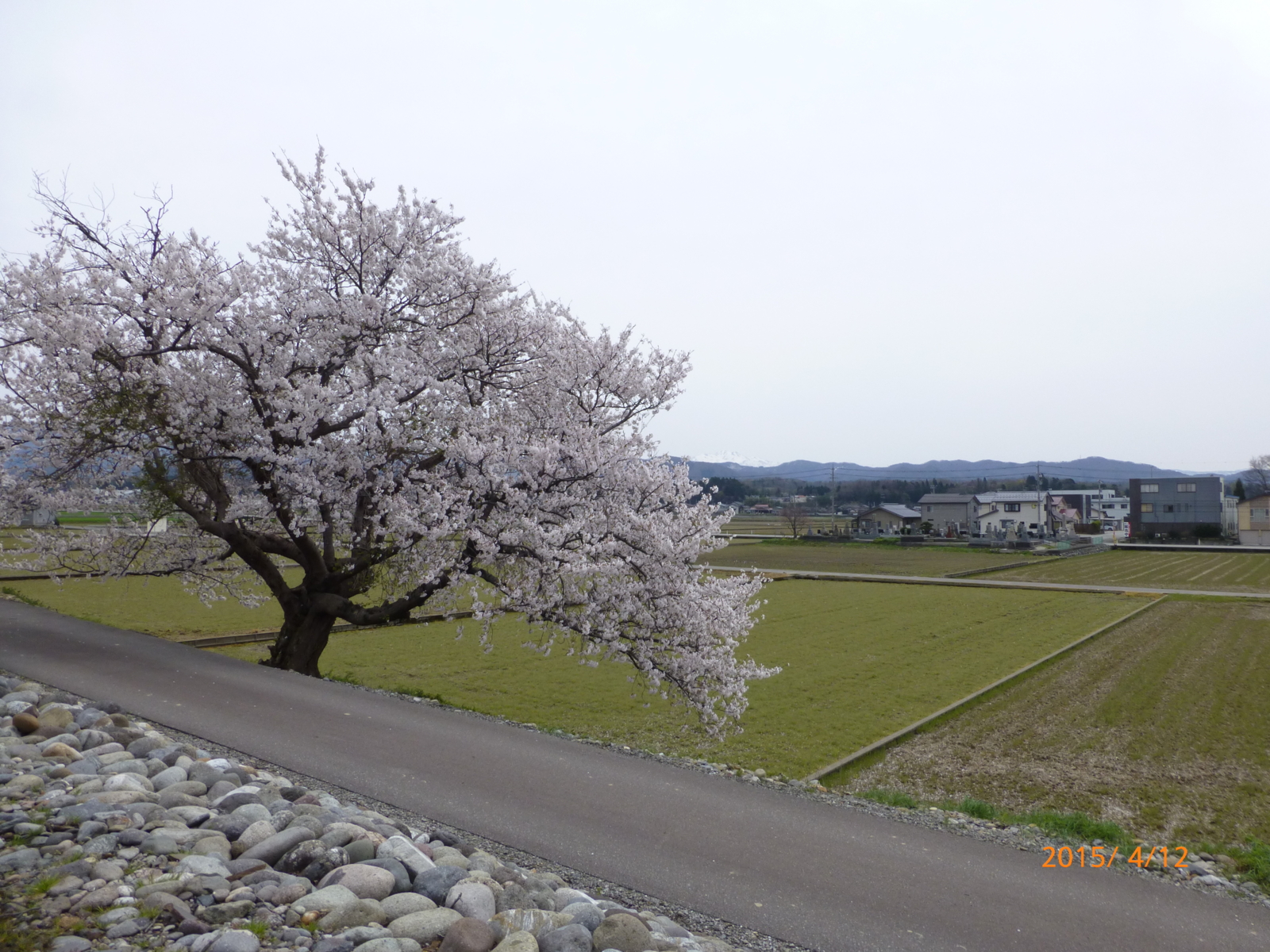 f:id:k10no3:20150412122027j:image:w279