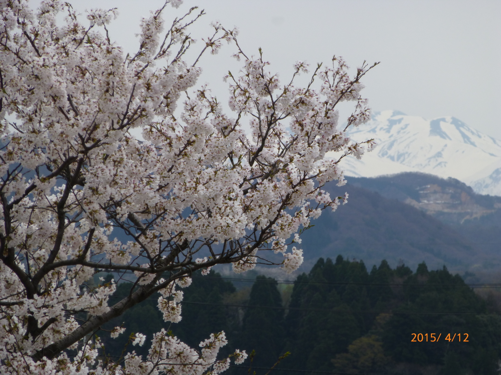 f:id:k10no3:20150412122323j:image:w560