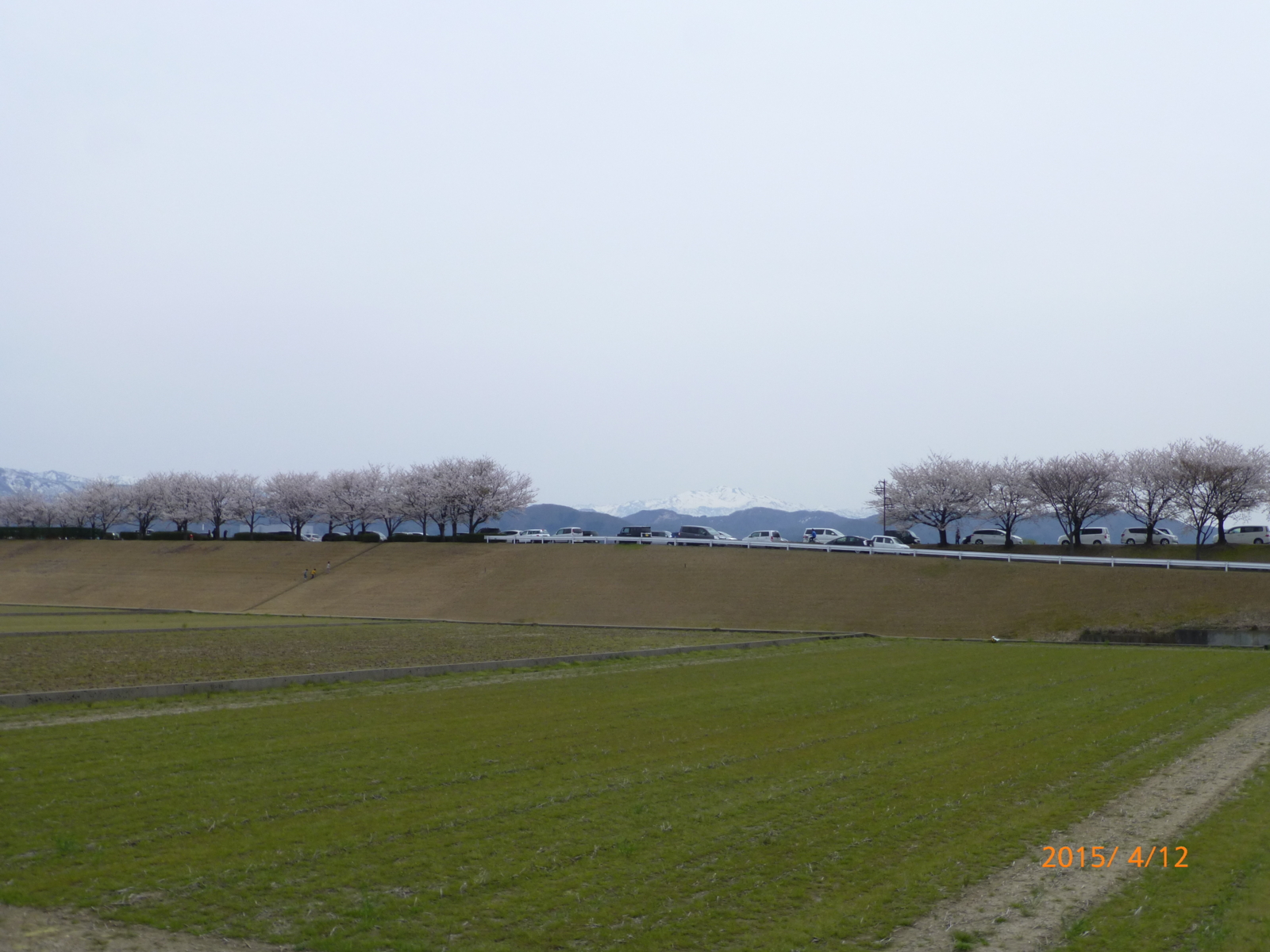 f:id:k10no3:20150412123543j:image:w279
