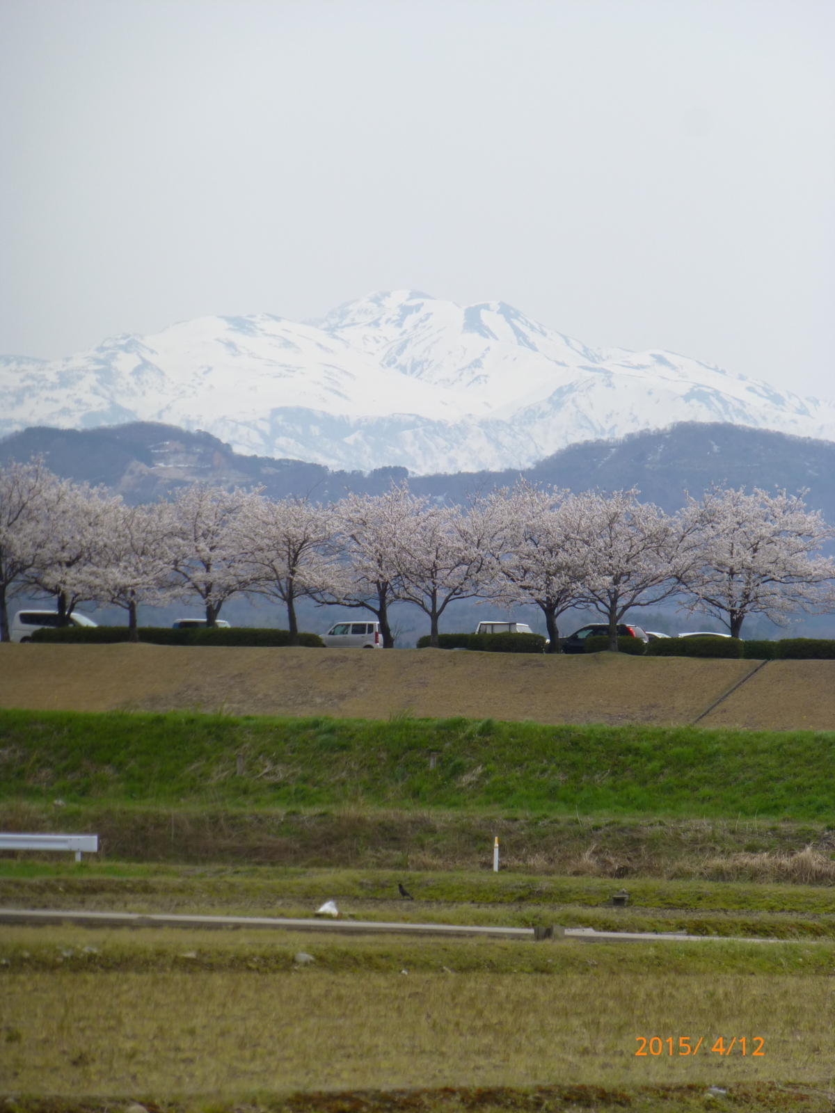 f:id:k10no3:20150412124852j:image:w279