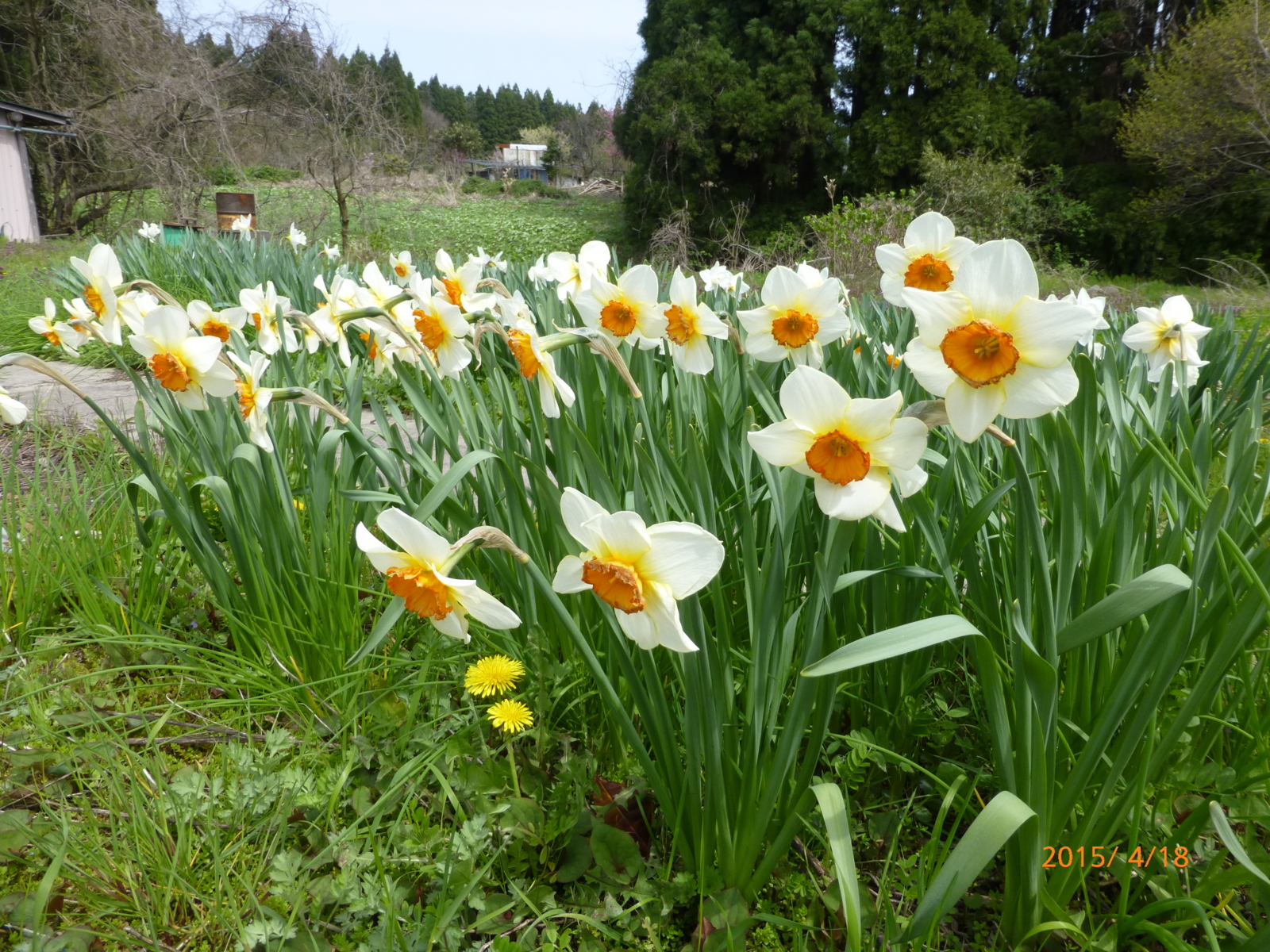 f:id:k10no3:20150418111648j:image:w560 f:id:k10no3:20150418111648j:image:w560