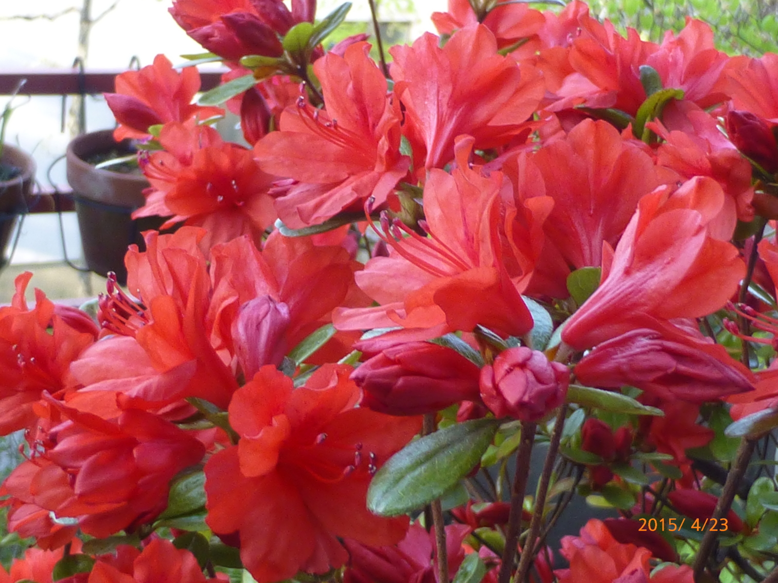 f:id:k10no3:20150423064844j:image:w560
