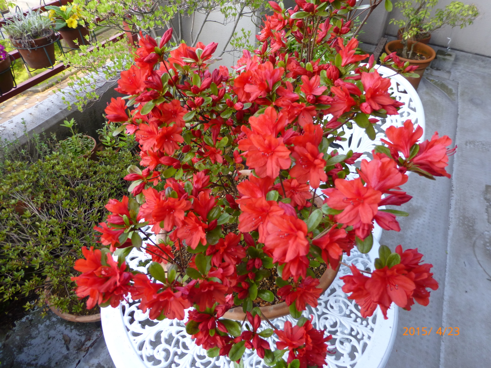 f:id:k10no3:20150423064853j:image:w560