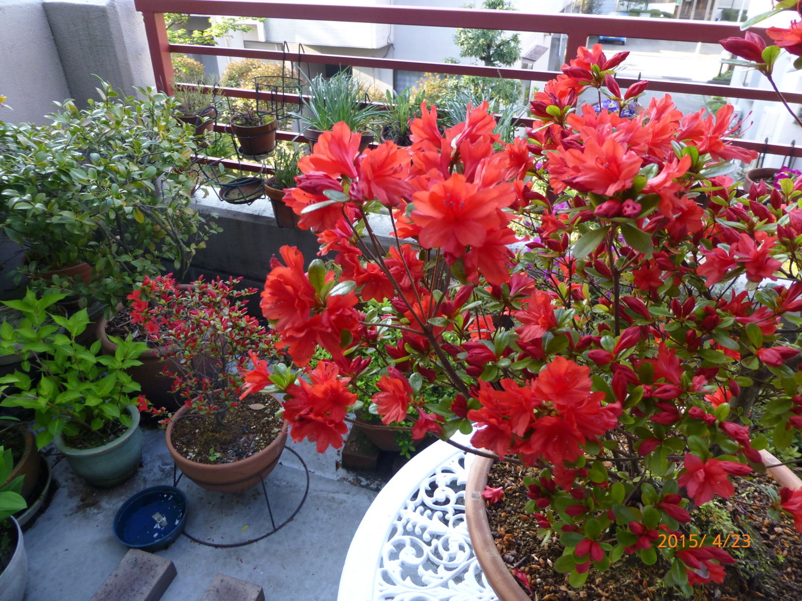 f:id:k10no3:20150423064909j:image:w560