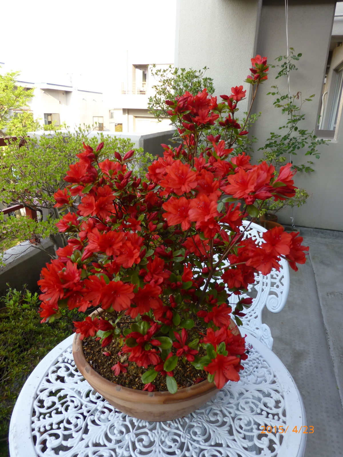 f:id:k10no3:20150423065056j:image:w420 f:id:k10no3:20150423065056j:image:w420