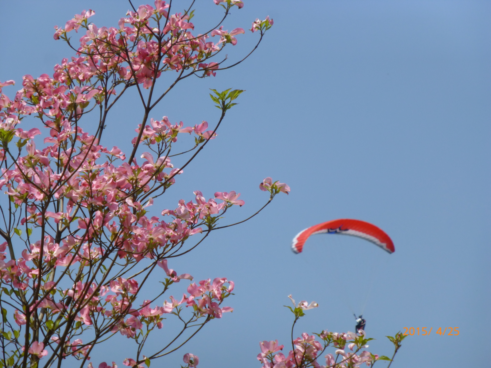 f:id:k10no3:20150425114340j:image:w560 f:id:k10no3:20150425114340j:image:w560