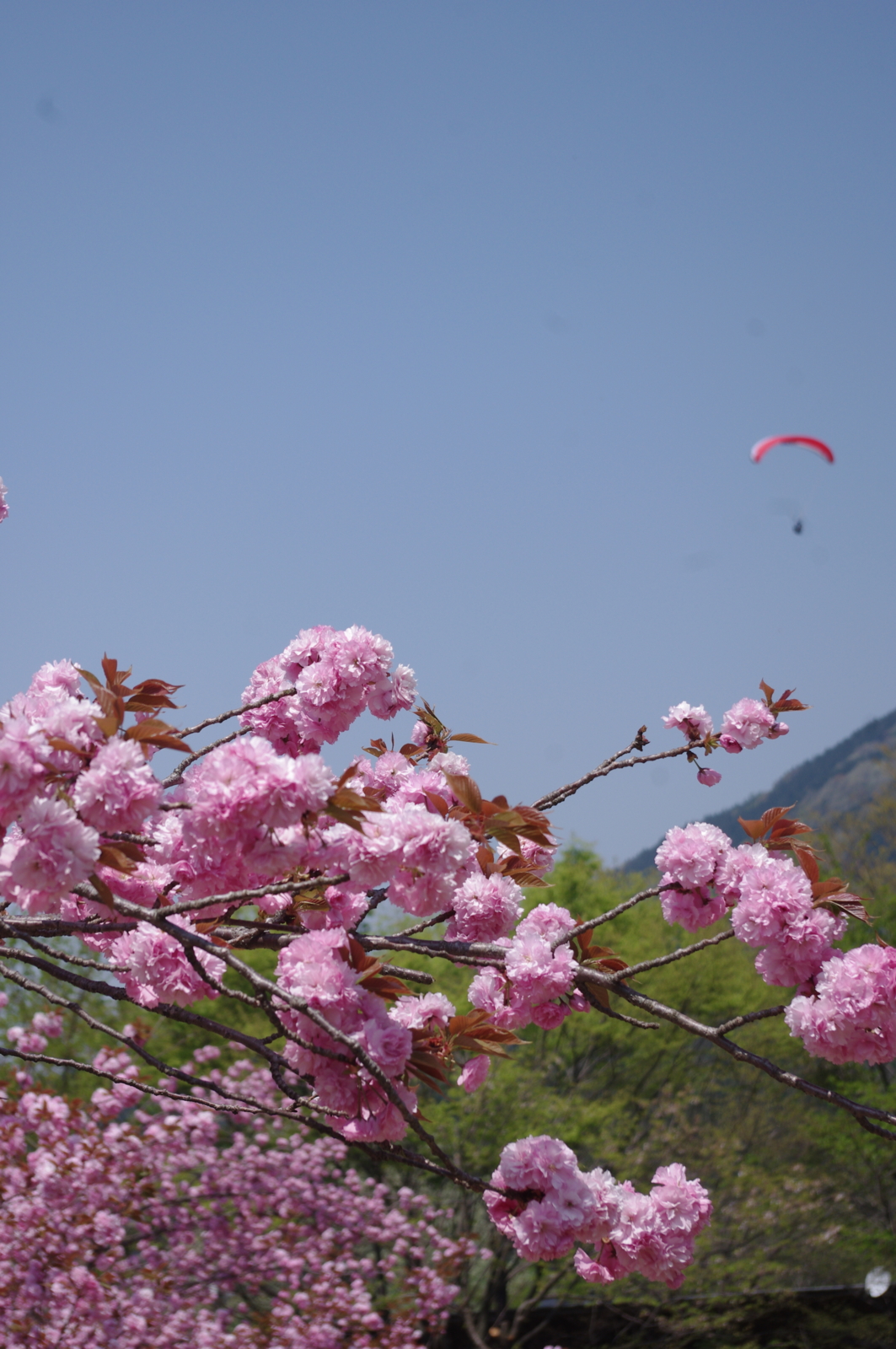 f:id:k10no3:20150425115346j:image:w279 f:id:k10no3:20150425115346j:image:w279