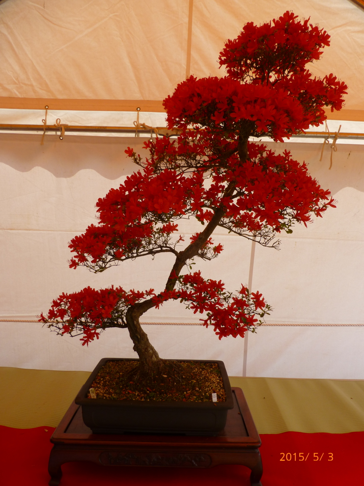 f:id:k10no3:20150503101459j:image:w279