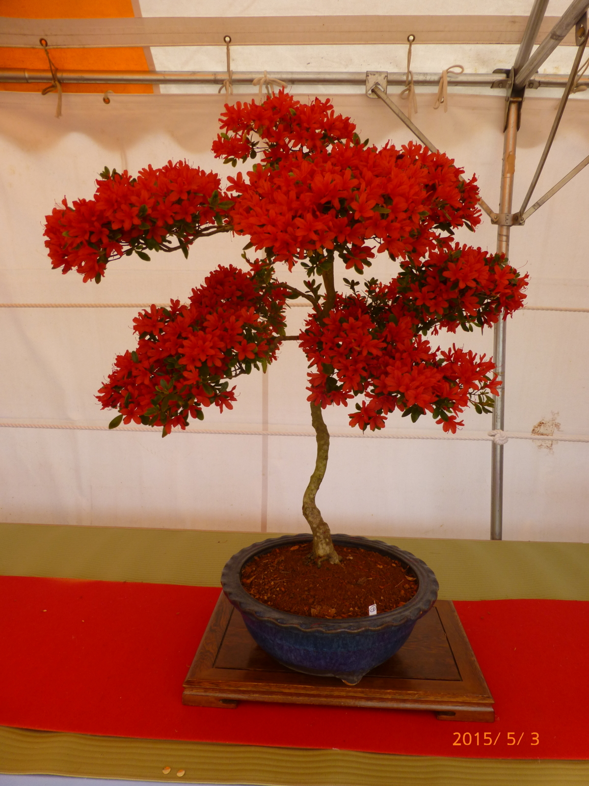 f:id:k10no3:20150503101517j:image:w279