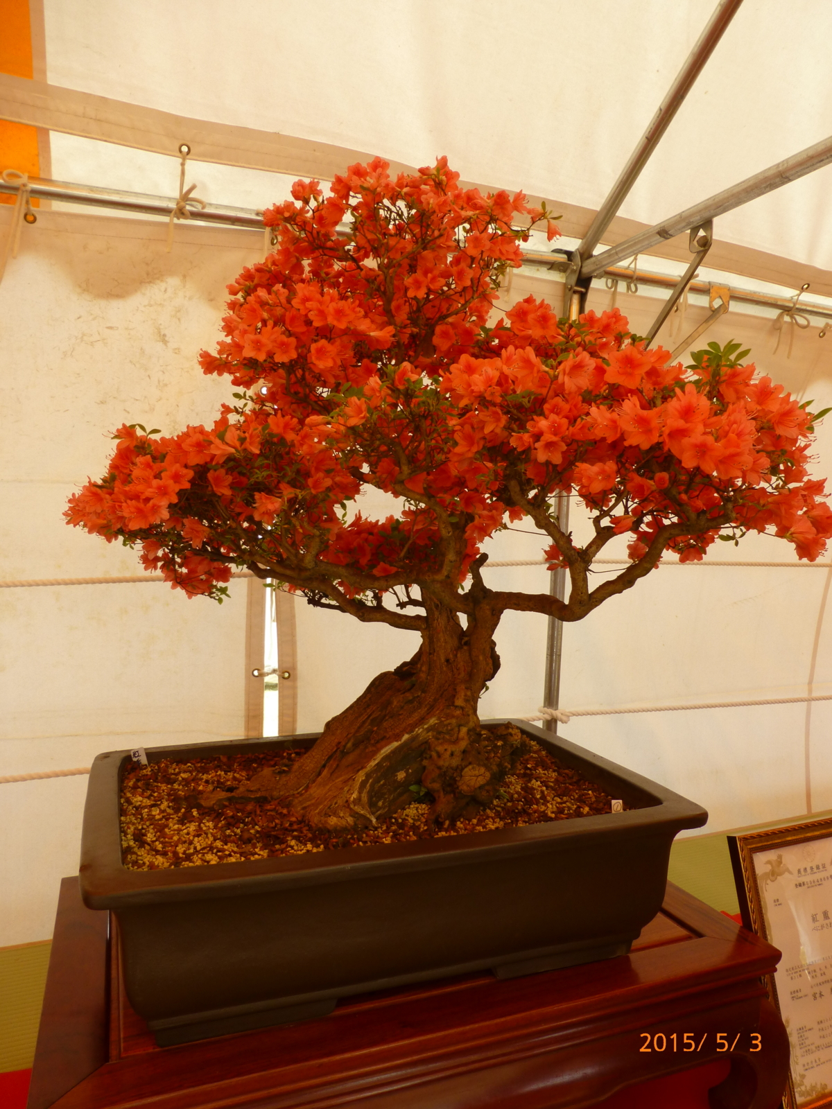 f:id:k10no3:20150503101551j:image:w279